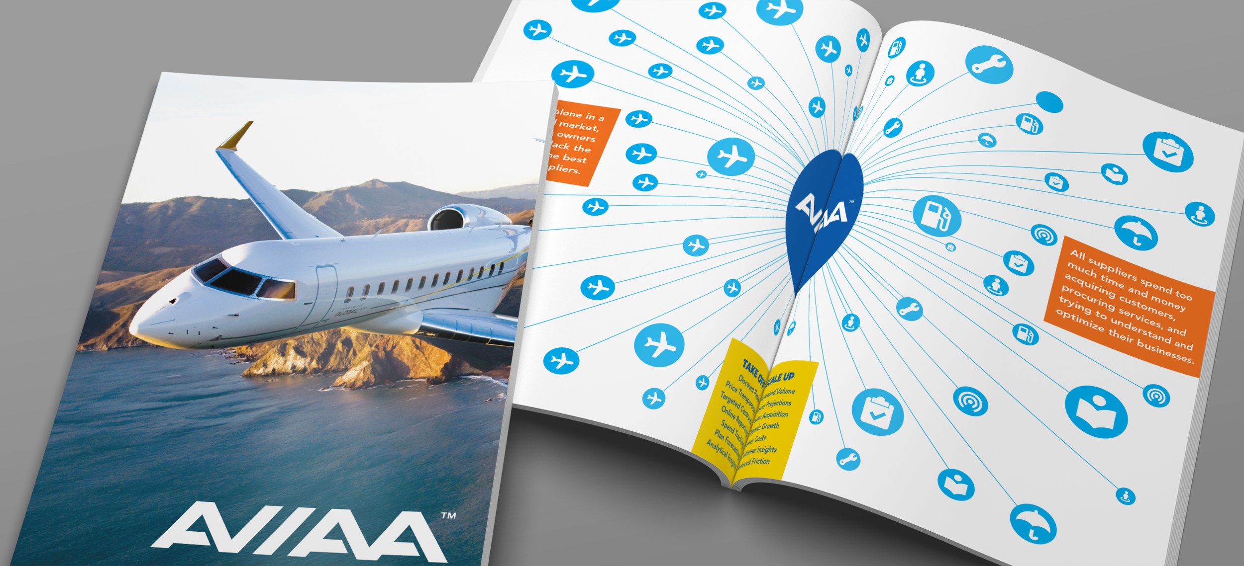 1_AVIAA_Booklet copy.png