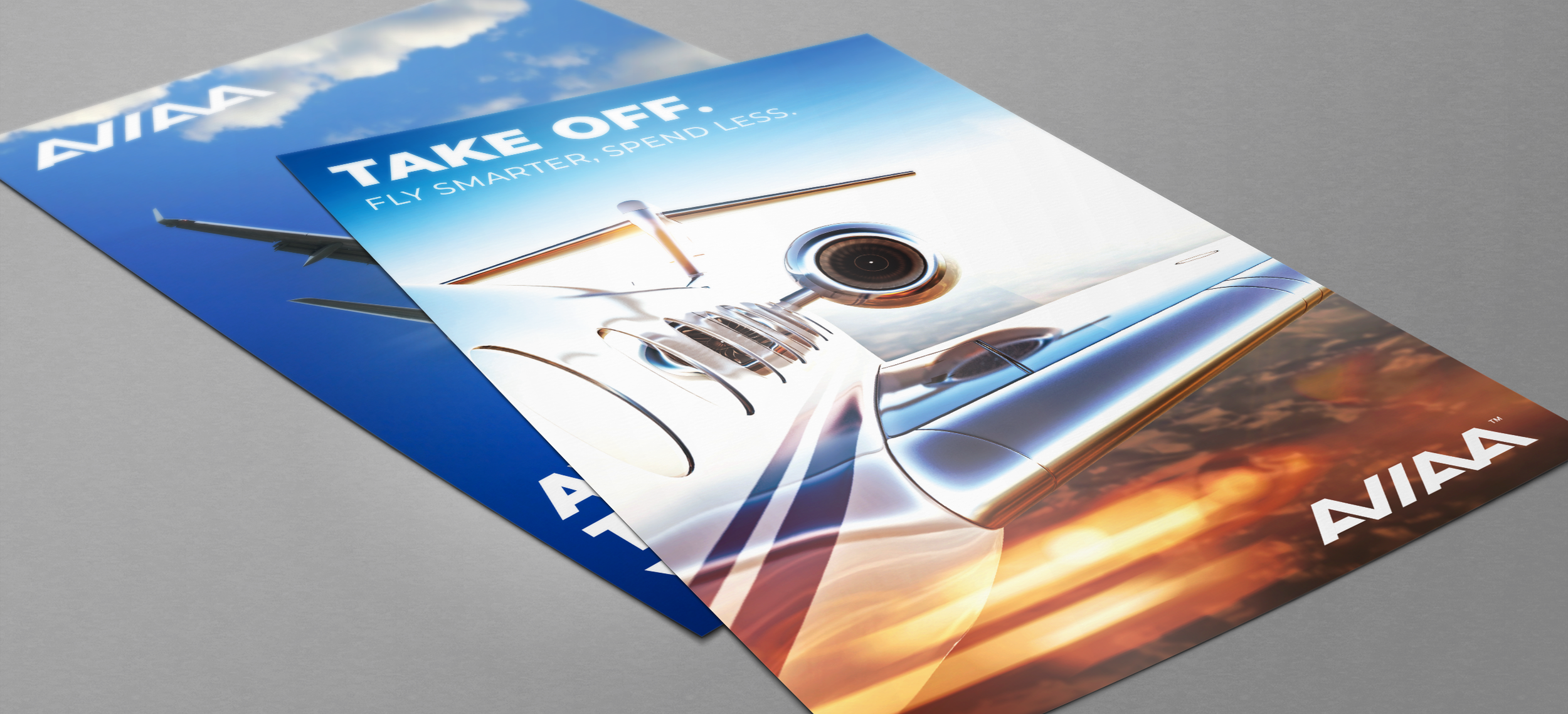 2_AVIAA_Flyer copy.png