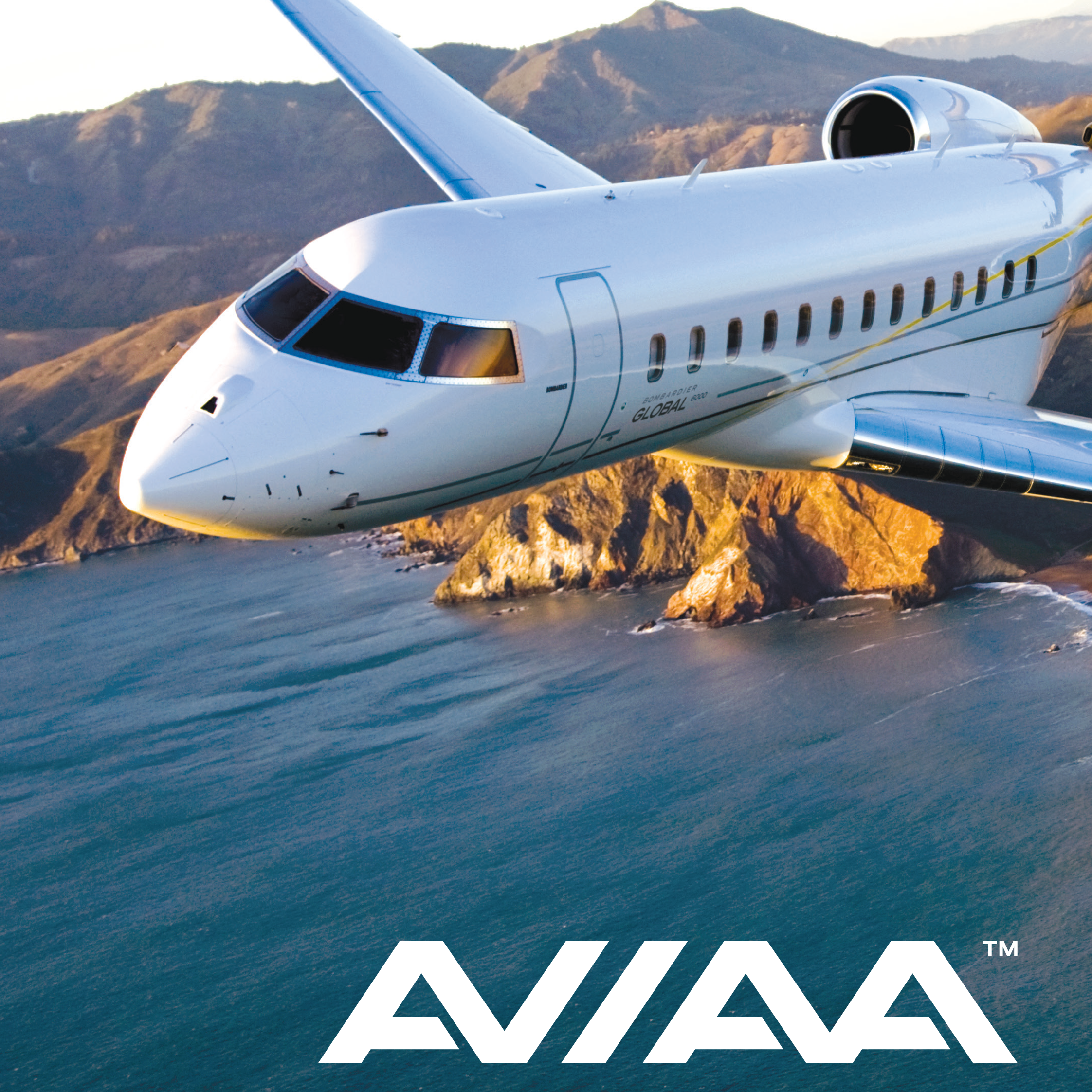 AVIAA Aviation