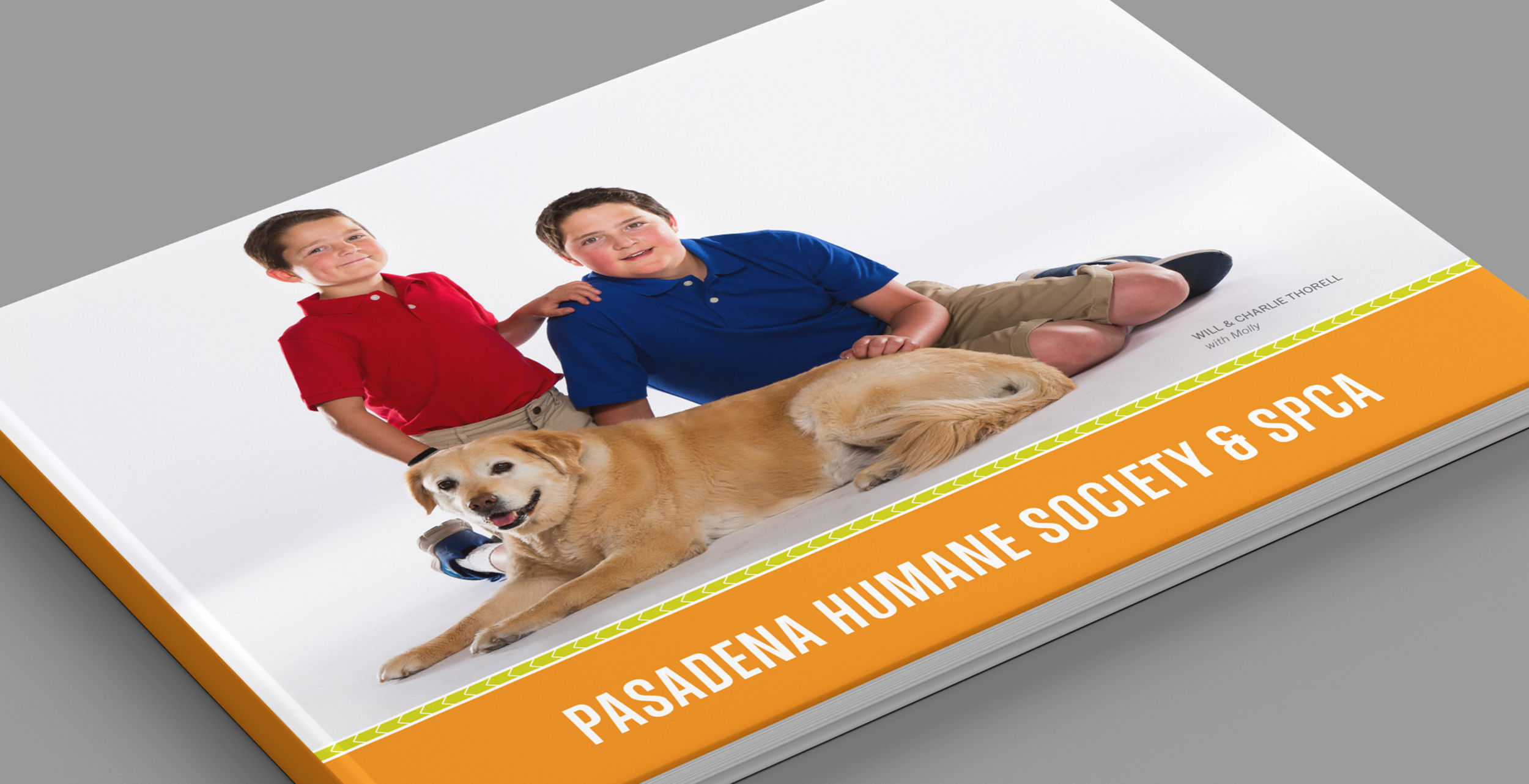 Horizontal_Book_Mockup_Cover.png