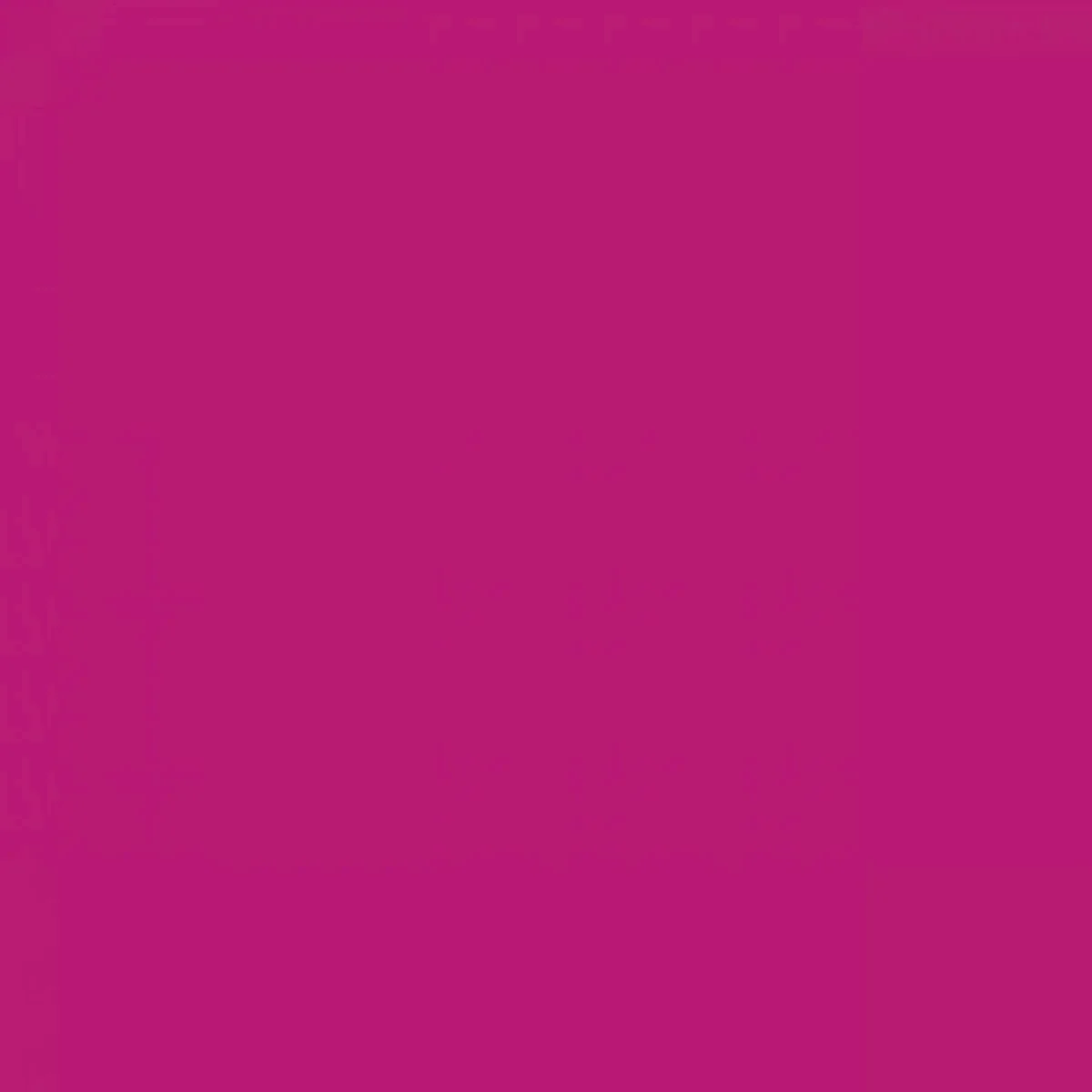 fuchsia.jpg