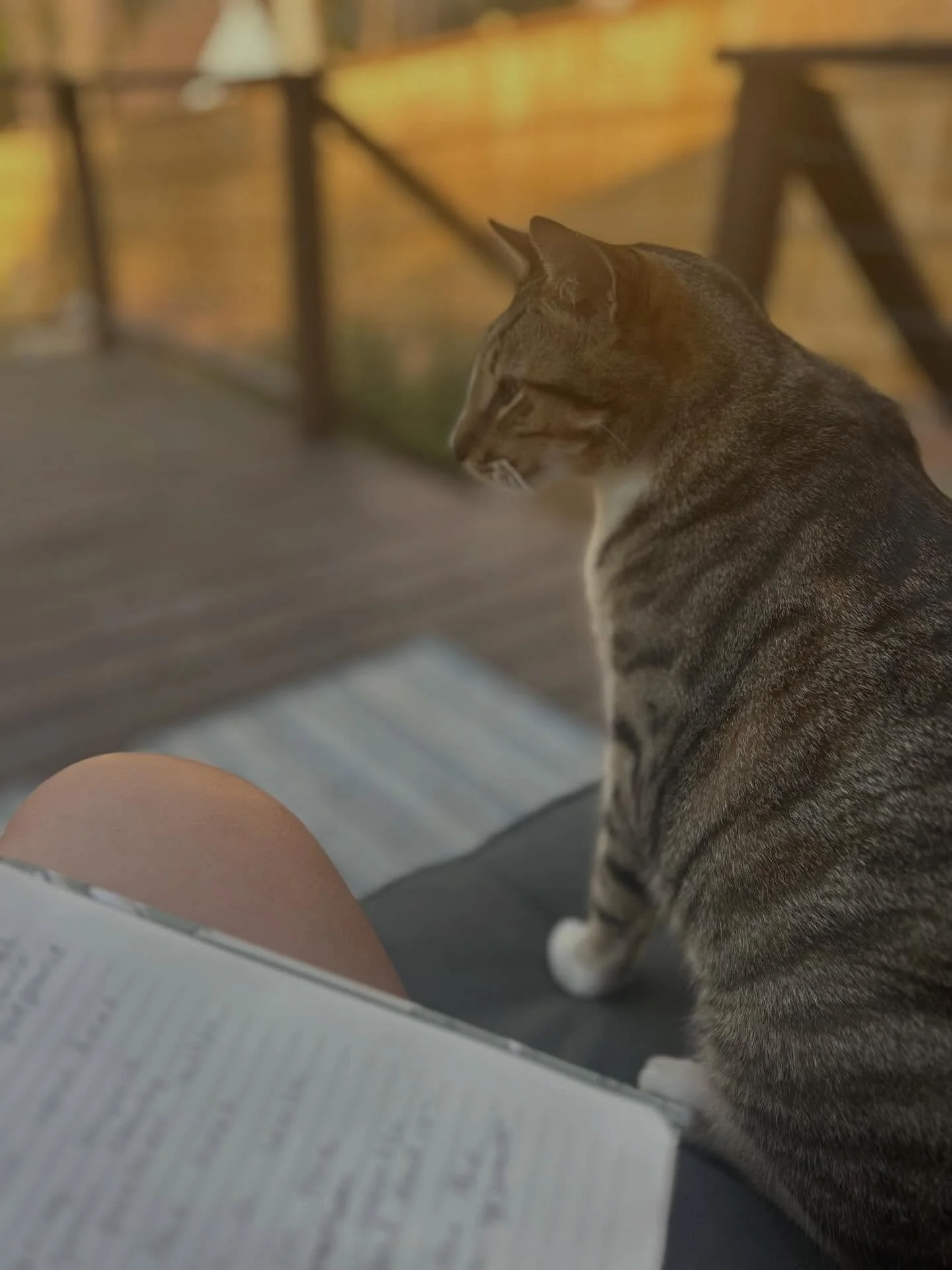 Freedom, for me right now, looks different than I once imagined.

It&rsquo;s not a week at the beach.
It&rsquo;s not getting to do whatever I want, whenever I want.

It looks like being able to nurture my growing family.
To tend to this swelling bell