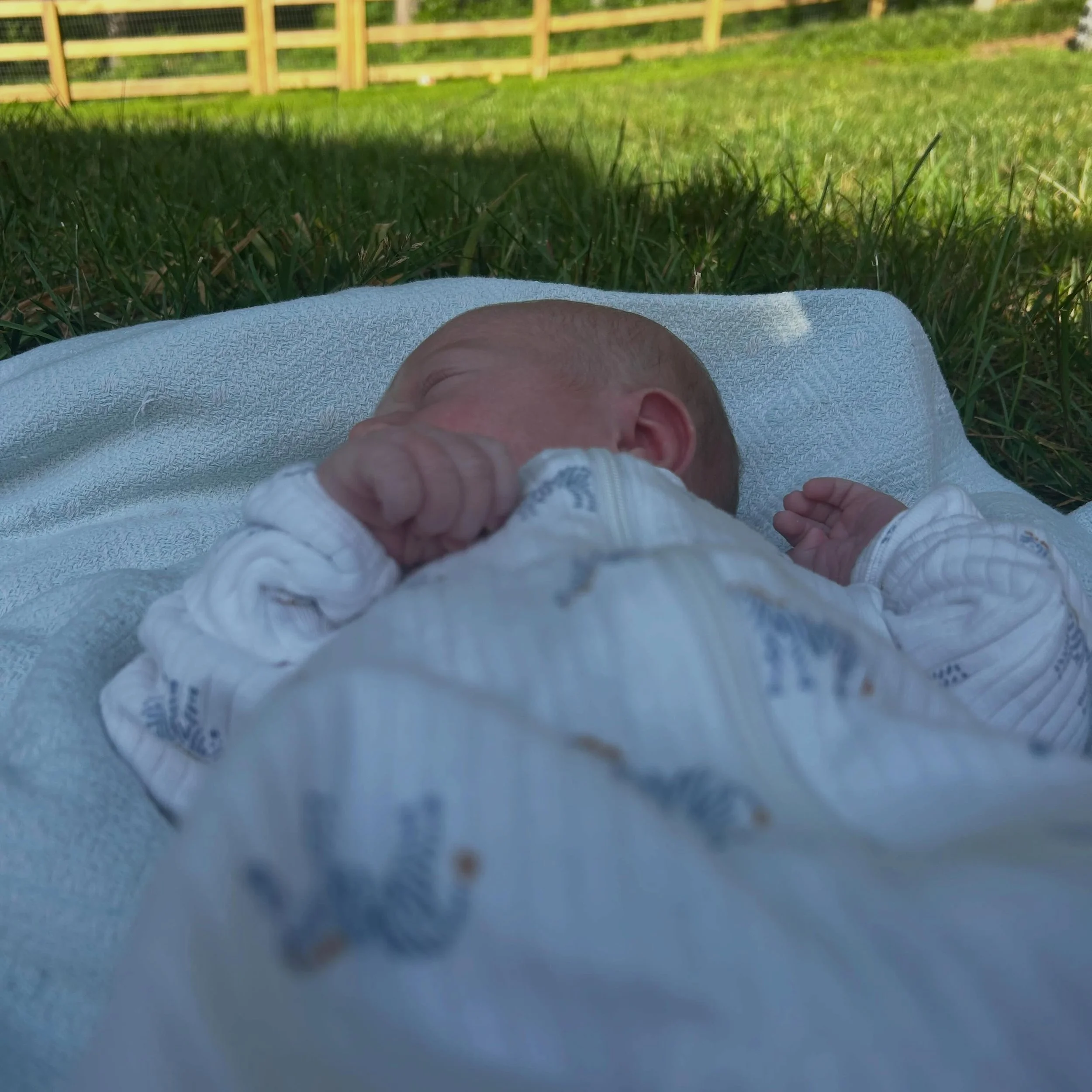 In my spiritual direction training, we&rsquo;ve been talking about still points. Still points are little pauses where you stop, get still, and notice how the Divine is present.

I&rsquo;m realizing how much these newborn days lend themselves to still