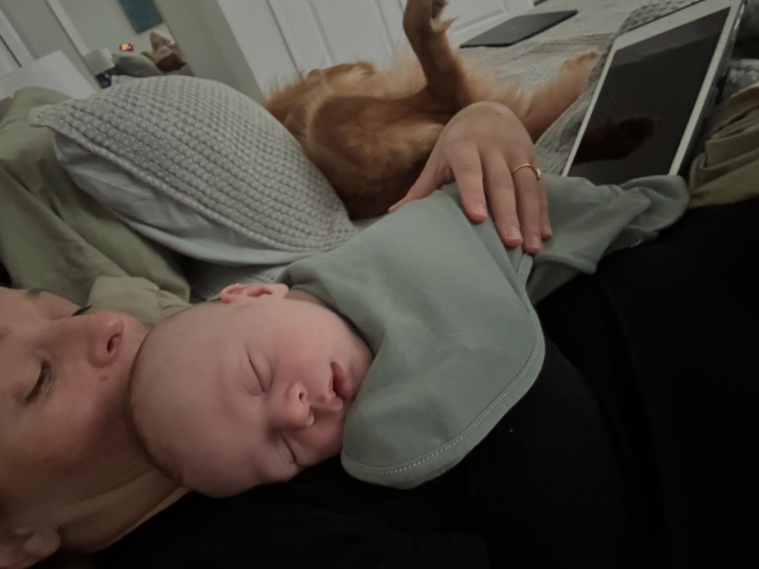 Perspective can change everything.

When I was in the newborn phase with my first baby boy, I didn&rsquo;t recognize the preciousness of these moments. I remember feeling &ldquo;nap trapped&rdquo; &mdash; like my baby was keeping me from life.

Now, 