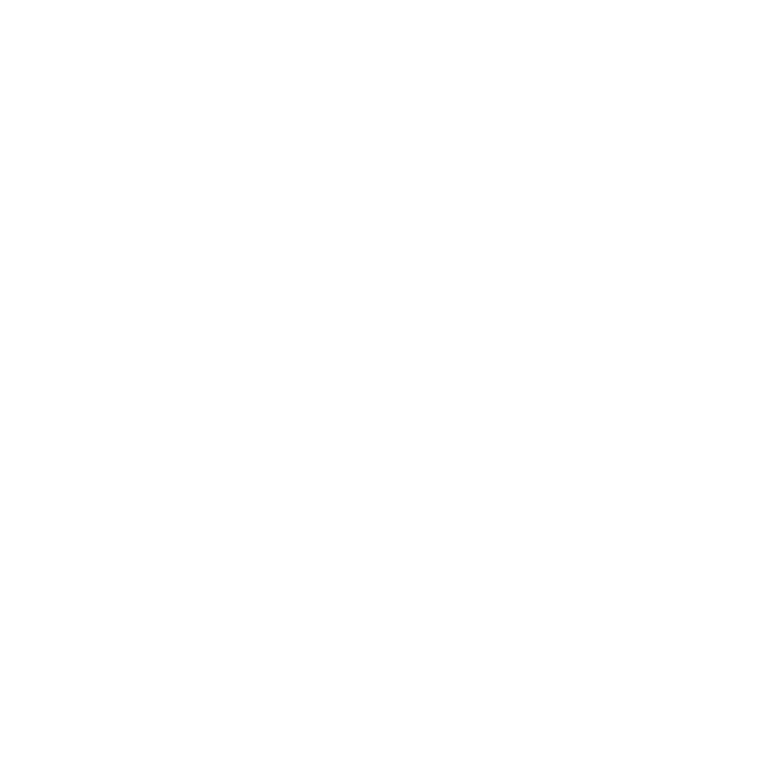 Everyday CFO's logo in white