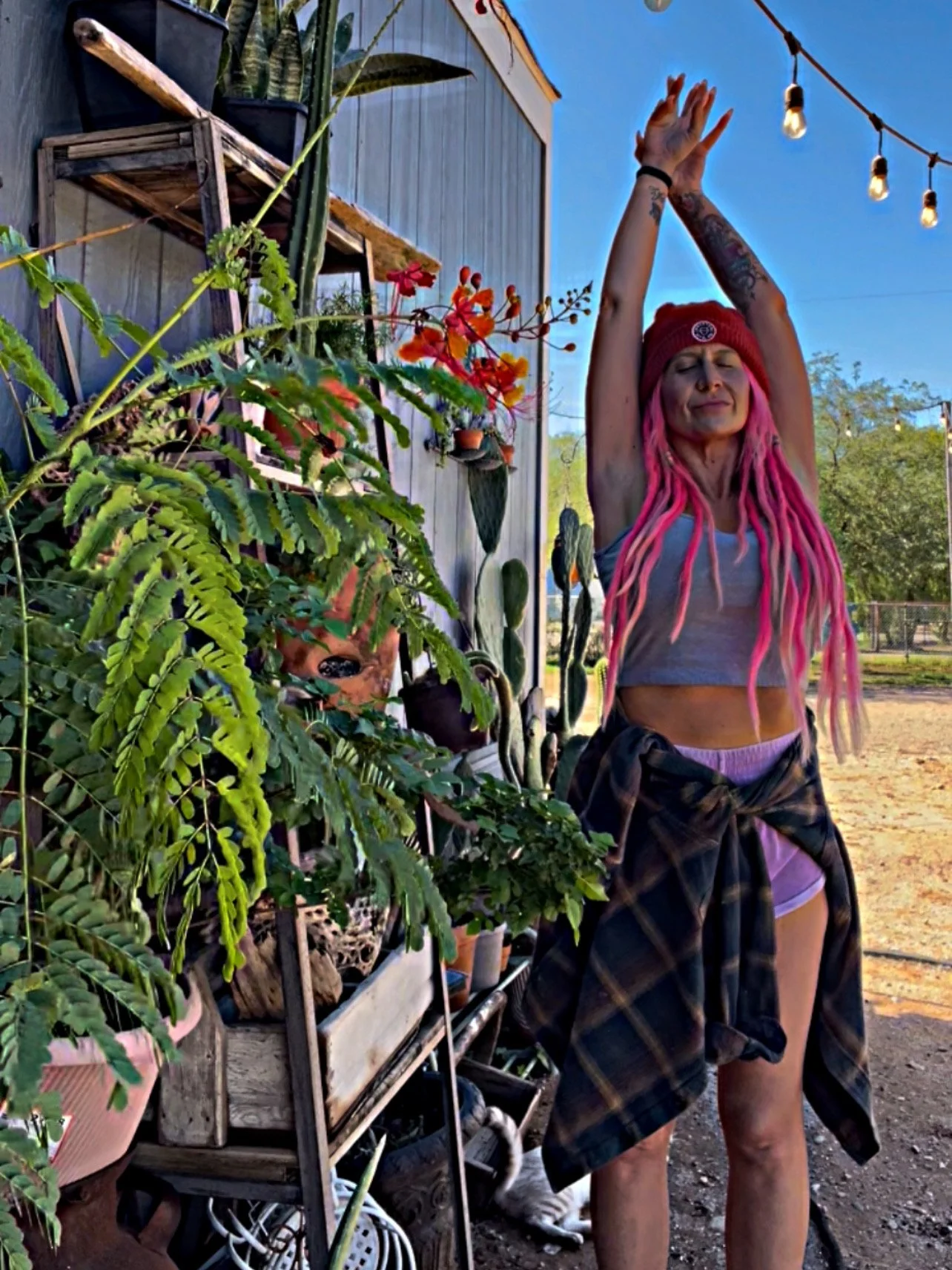 A woman with long pink dreadlocks and tattoos on her arms is standing outdoors, stretching with her arms raised above her head. She is wearing a gray crop top, pink shorts, a red beanie, and has a flannel shirt tied around her waist. There are various potted plants and cacti on shelves next to her, and string lights are hanging above. The background shows a dirt area and trees.