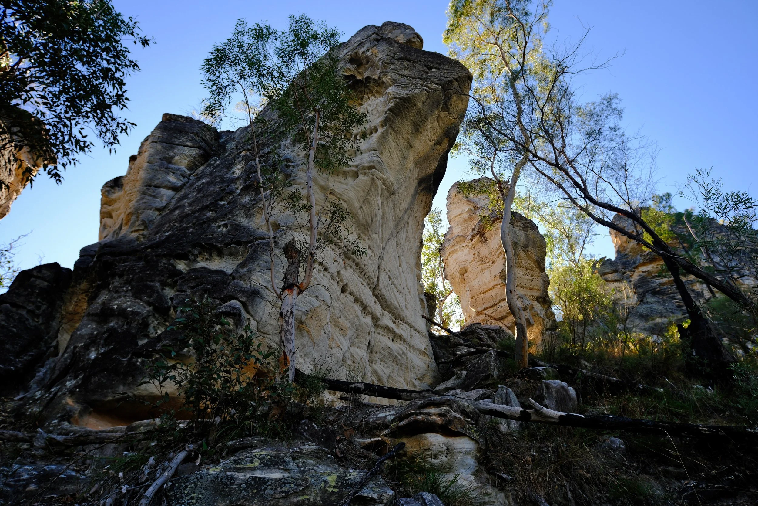 Sandstone pillars