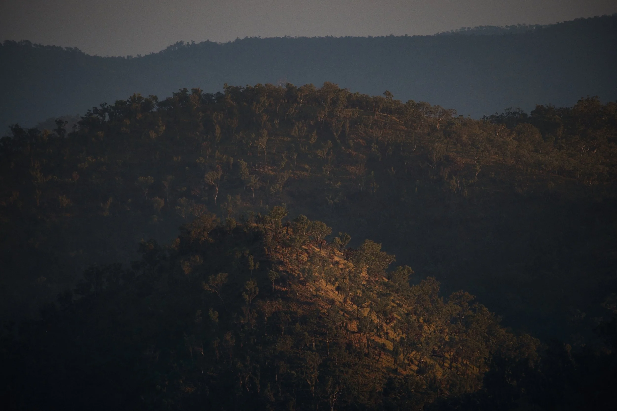 Morning light on rock