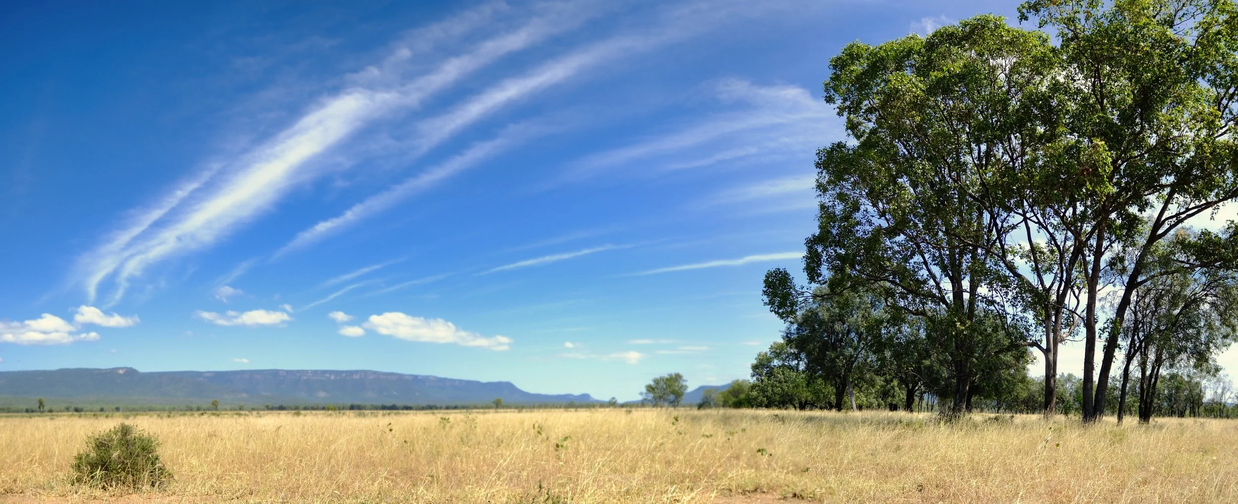 Escarpment panorama