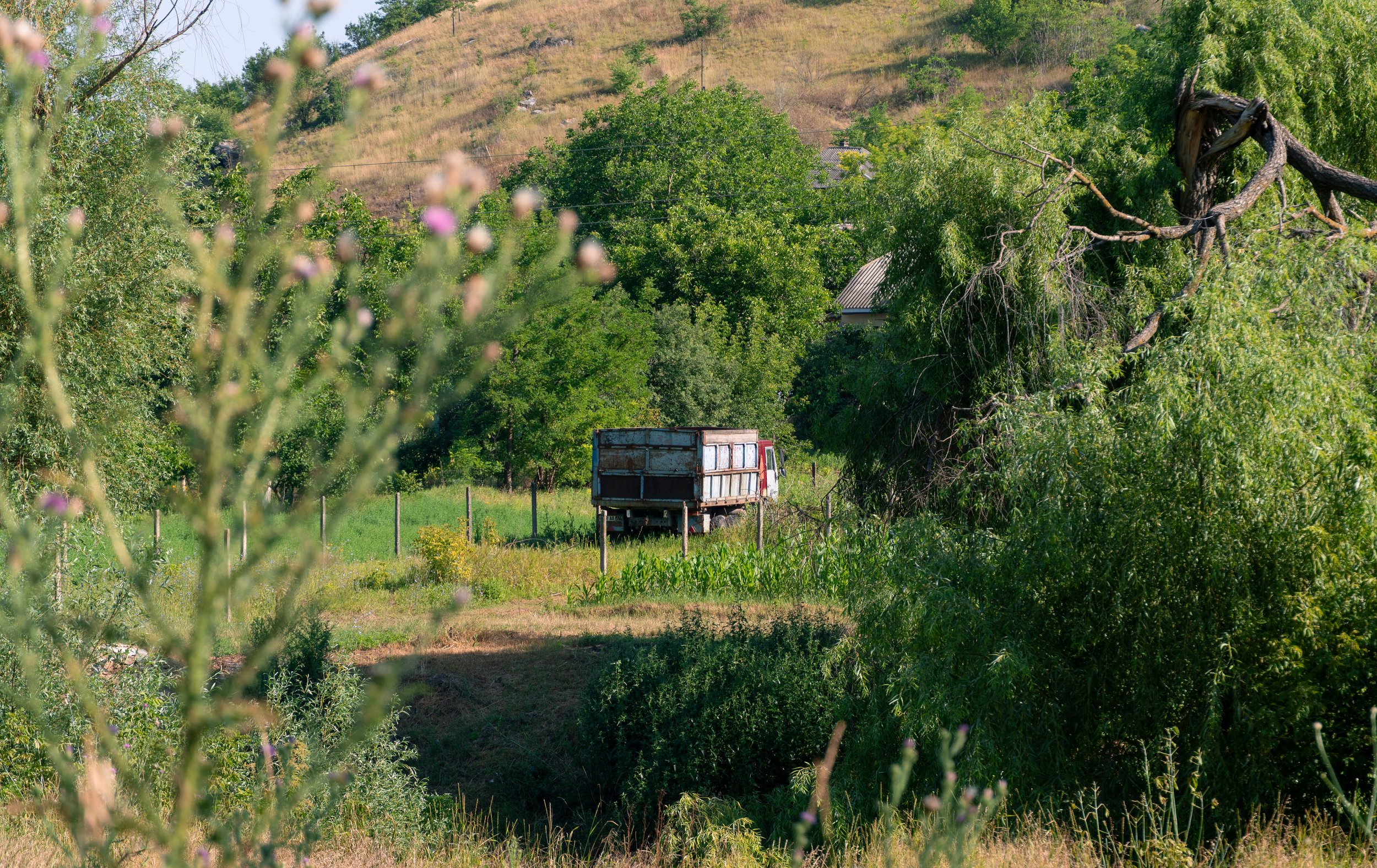 A rusty, old truck parked in a lush, green rural area surrounded by trees and bushes, with a hillside in the background.