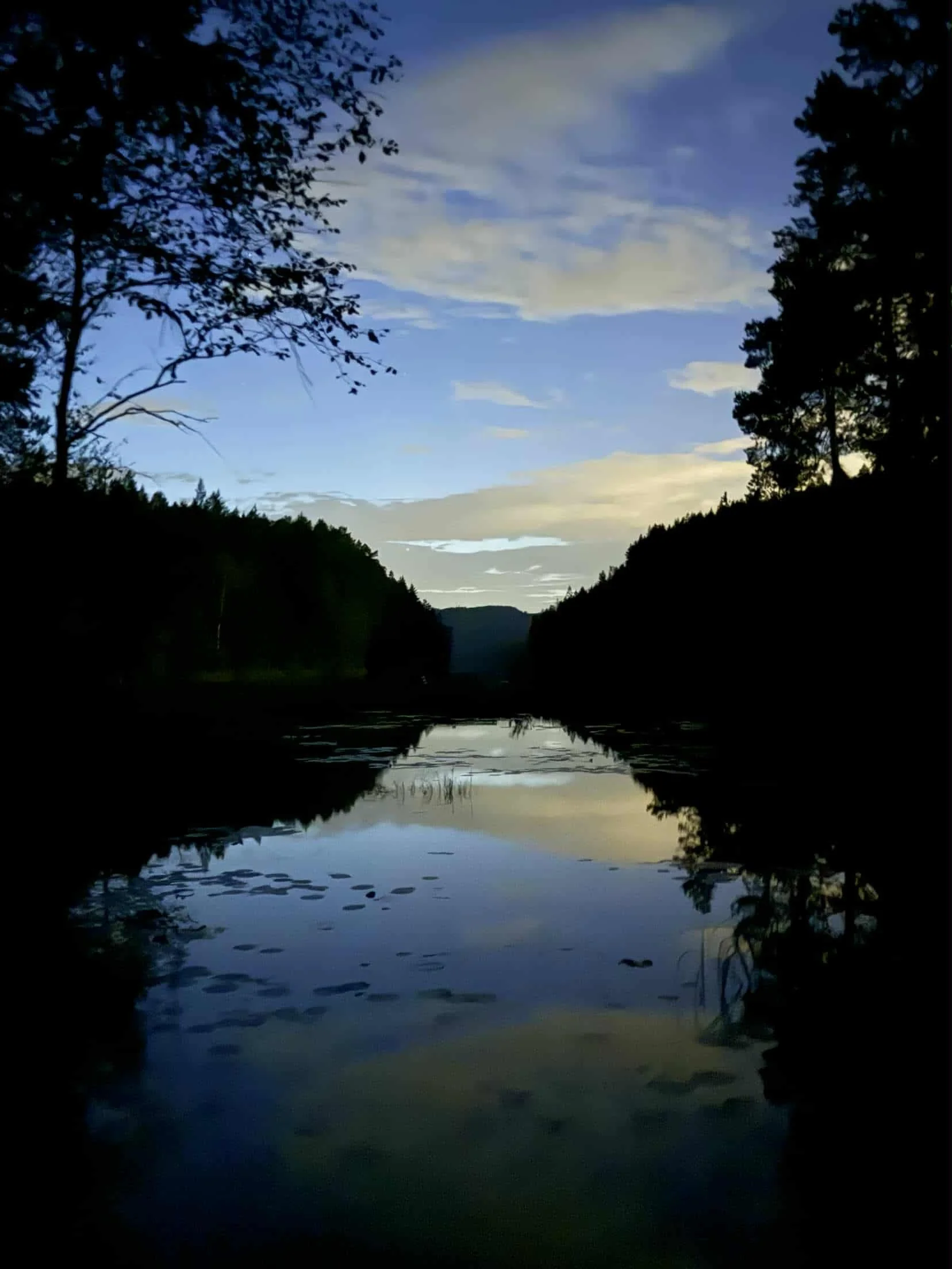 rødvann.jpg