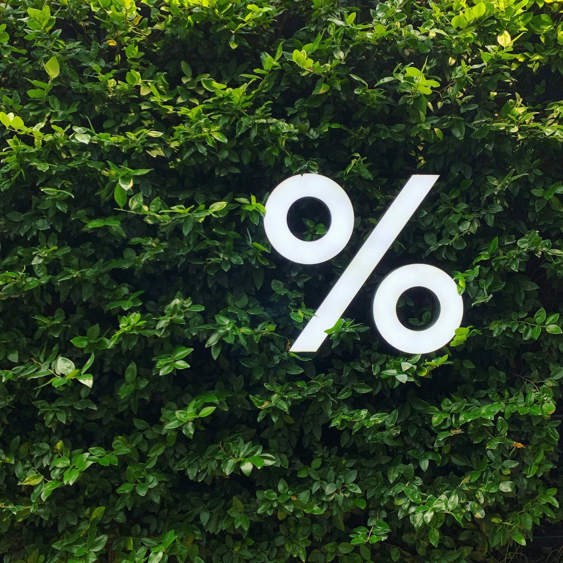 Fiscal Year in Review: Financial Highlights and Projections for Next Year