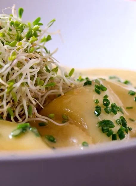 close-up of a bowl handmade pasta with sprouts and chopped green onions.