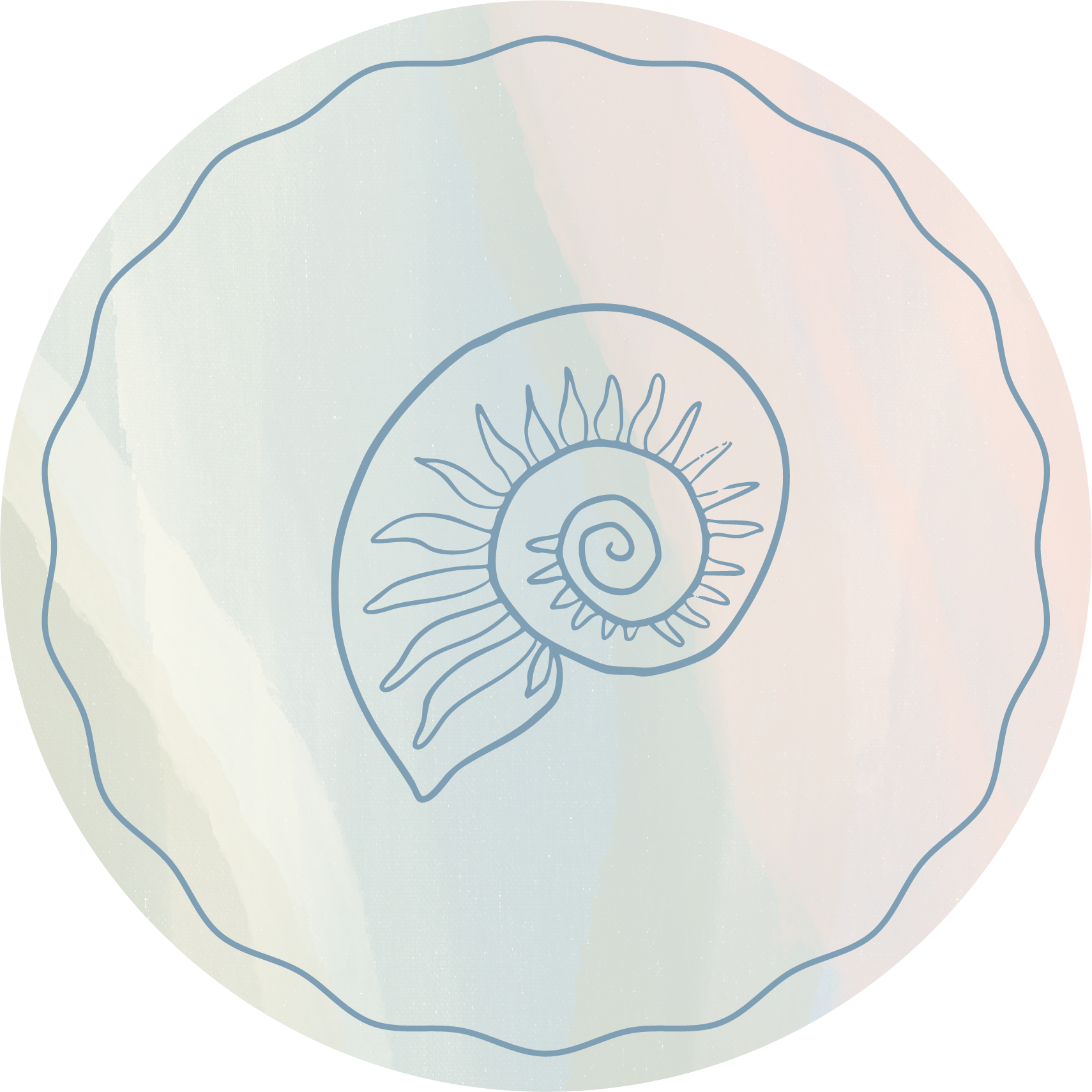 Illustration of a spiral seashell with a sunburst pattern inside, drawn with blue lines on a light pastel-colored background.