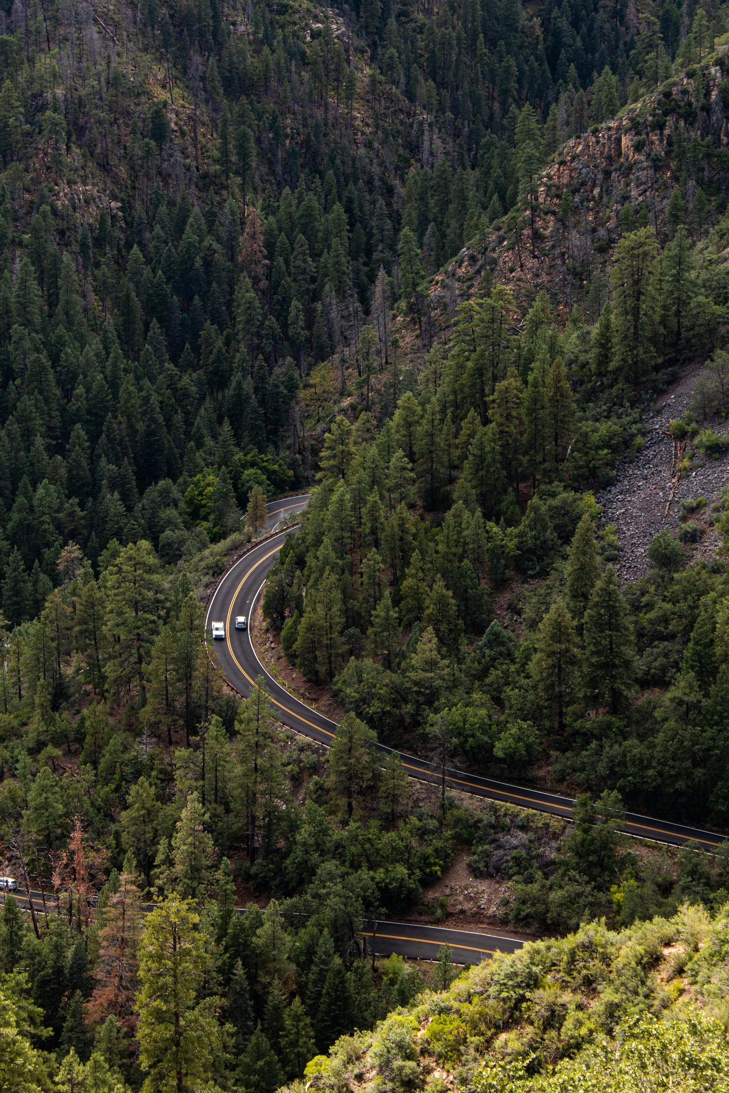 Flagstaff, AZ