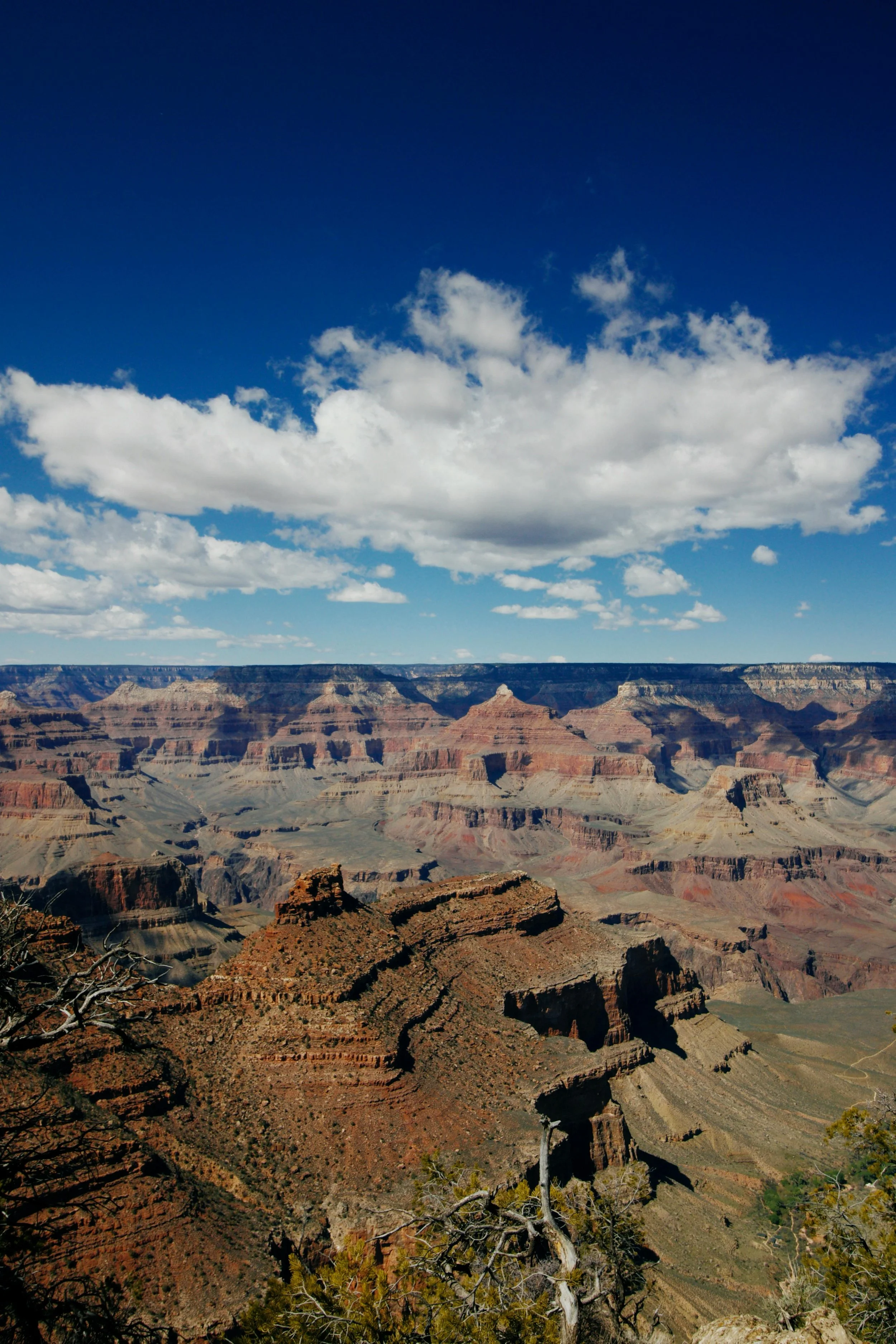 Arizona