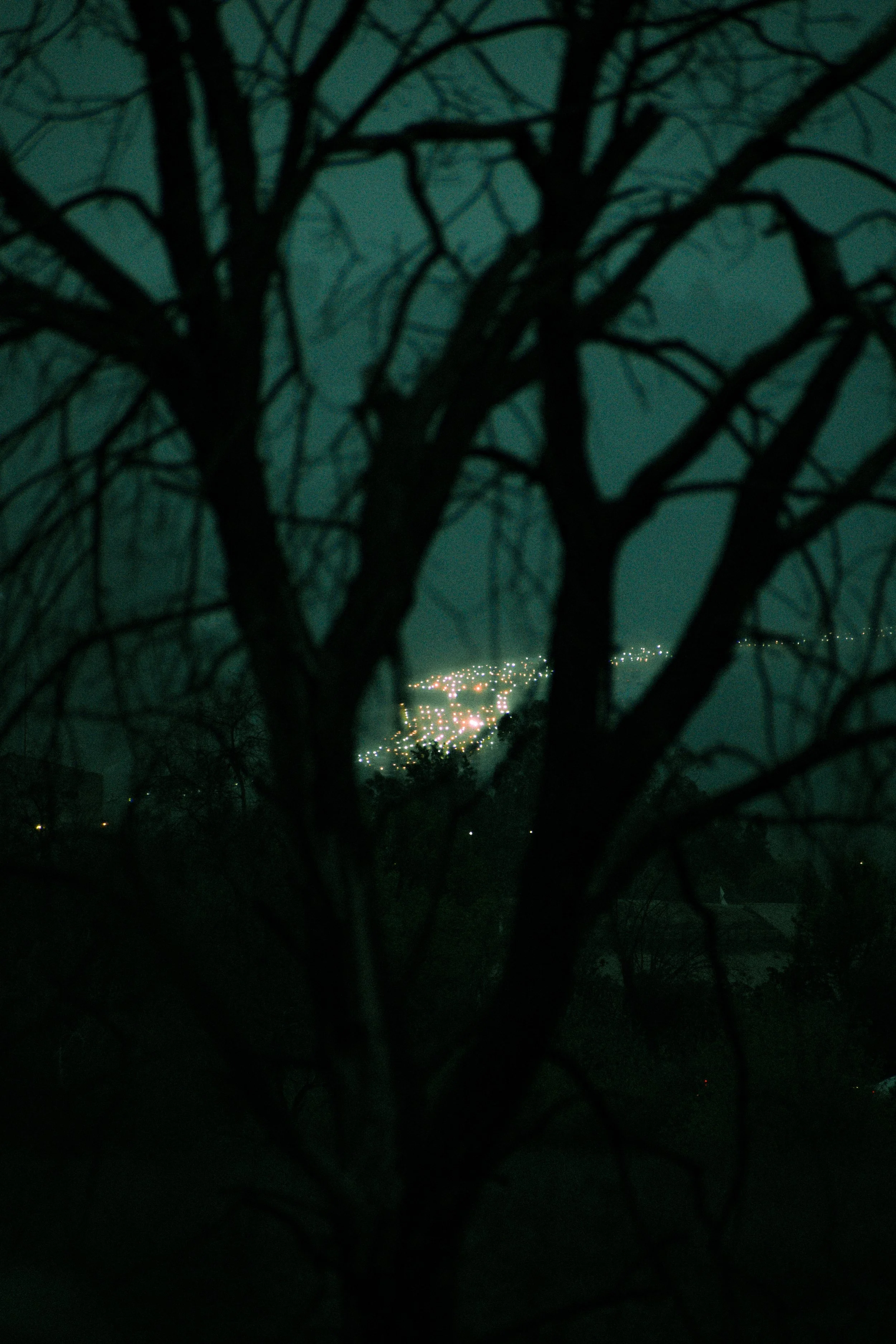 Nighttime scene with leafless tree in foreground and city lights in the distance