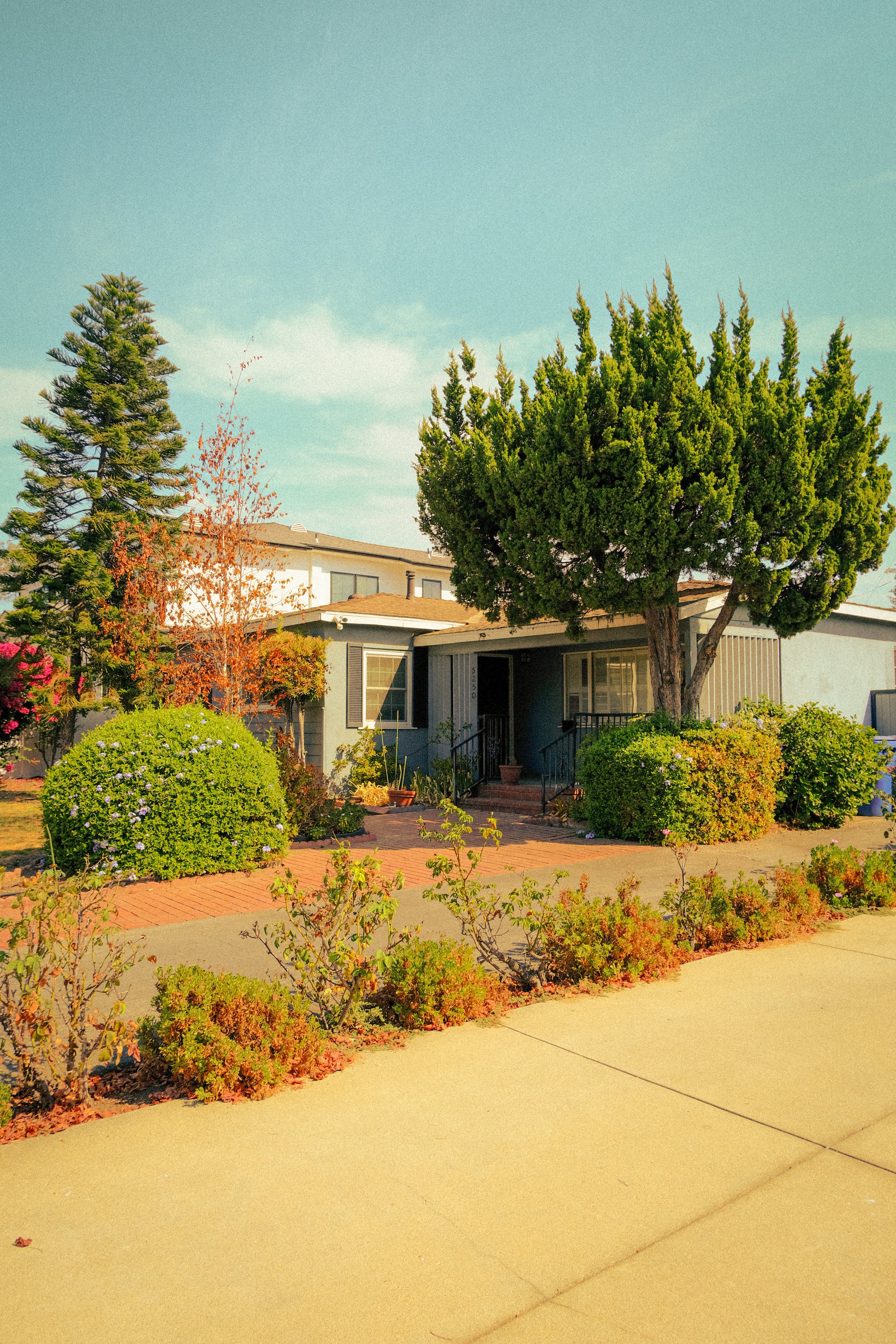 A single-story house with a porch, surrounded by green bushes and large trees, under a blue sky.