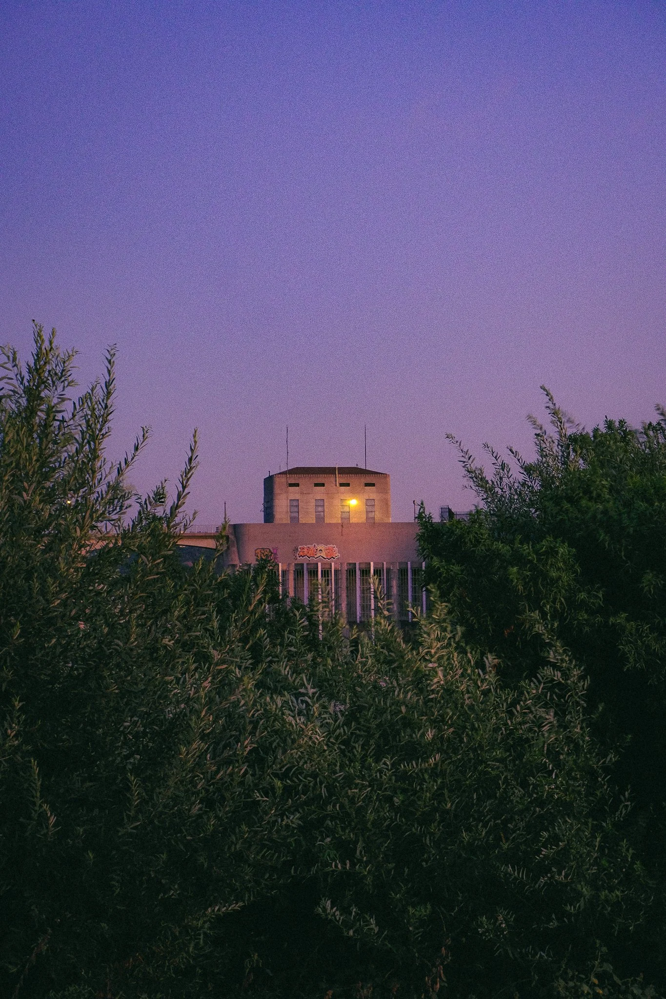 City building with a purple sky and surrounding greenery