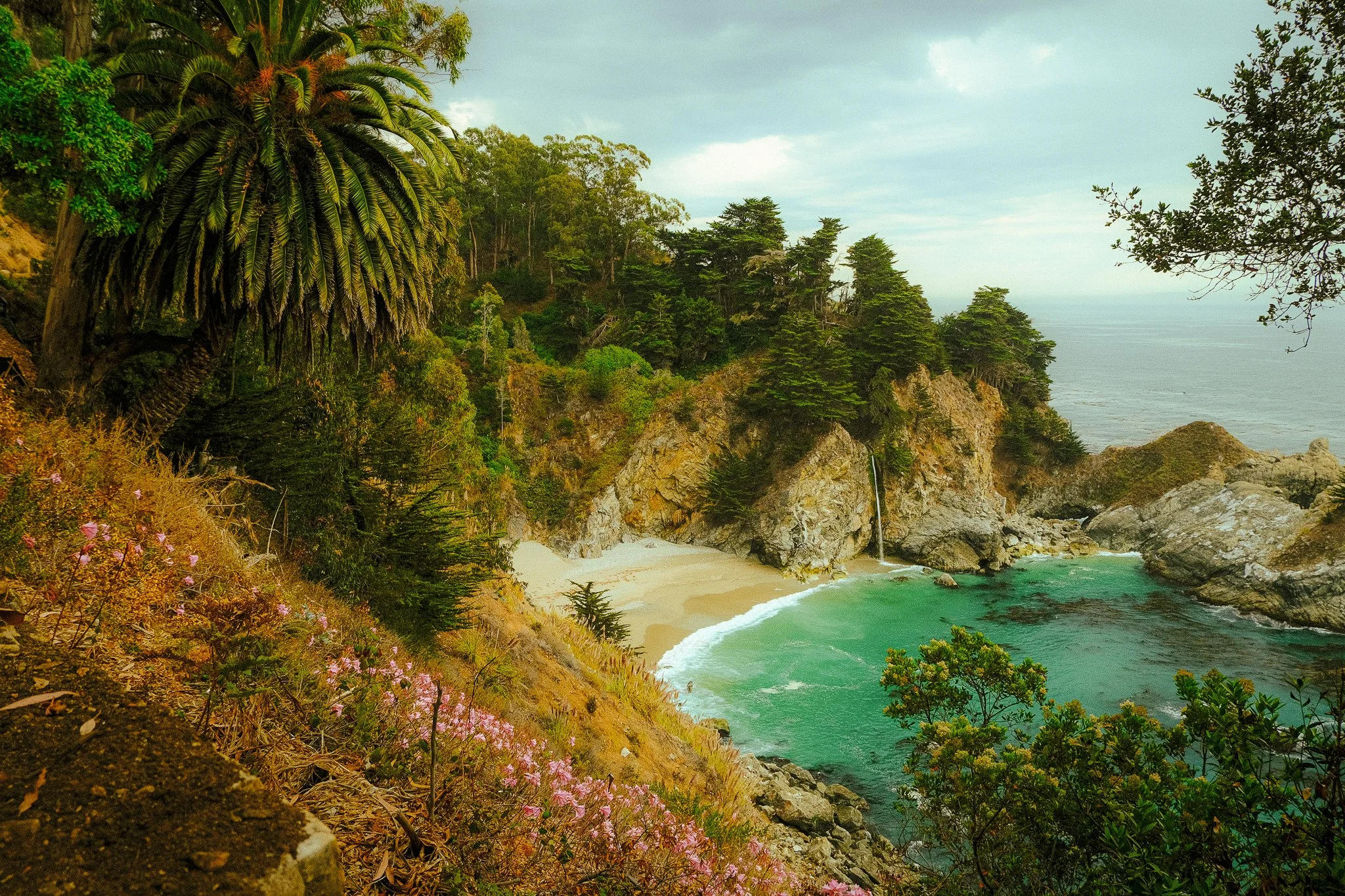 A view of a secluded beach with clear green water, surrounded by rocky cliffs and lush green trees, including a prominent large palm tree on the left and pink flowers in the foreground.