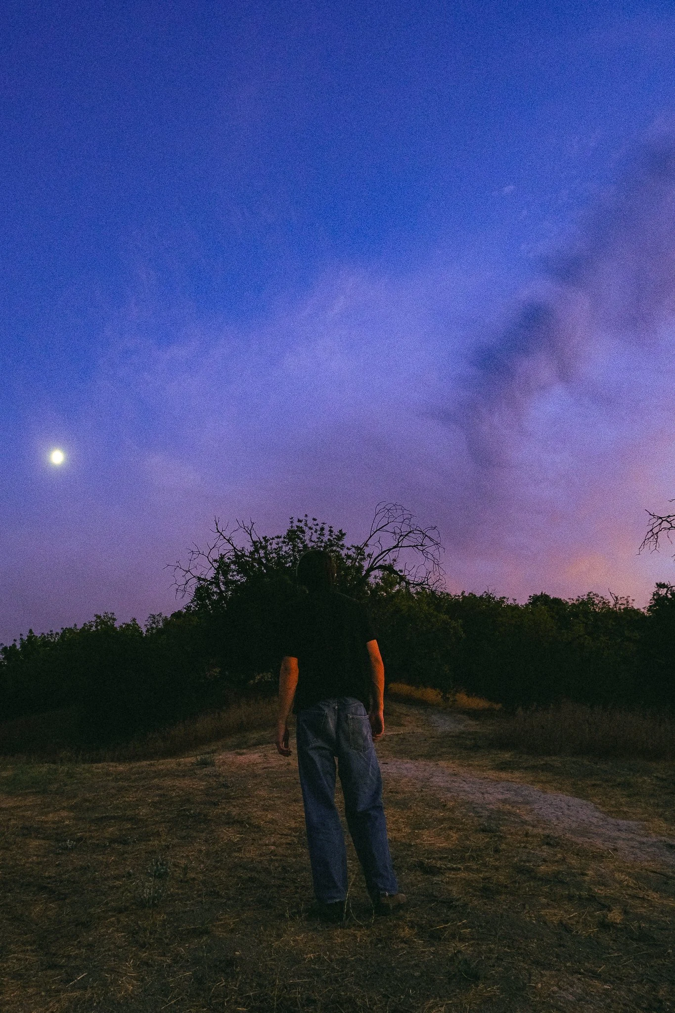 A person standing on a dirt path at dusk, facing away from the camera, with a dark sky, visible moon, and some clouds overhead, and trees in the background.