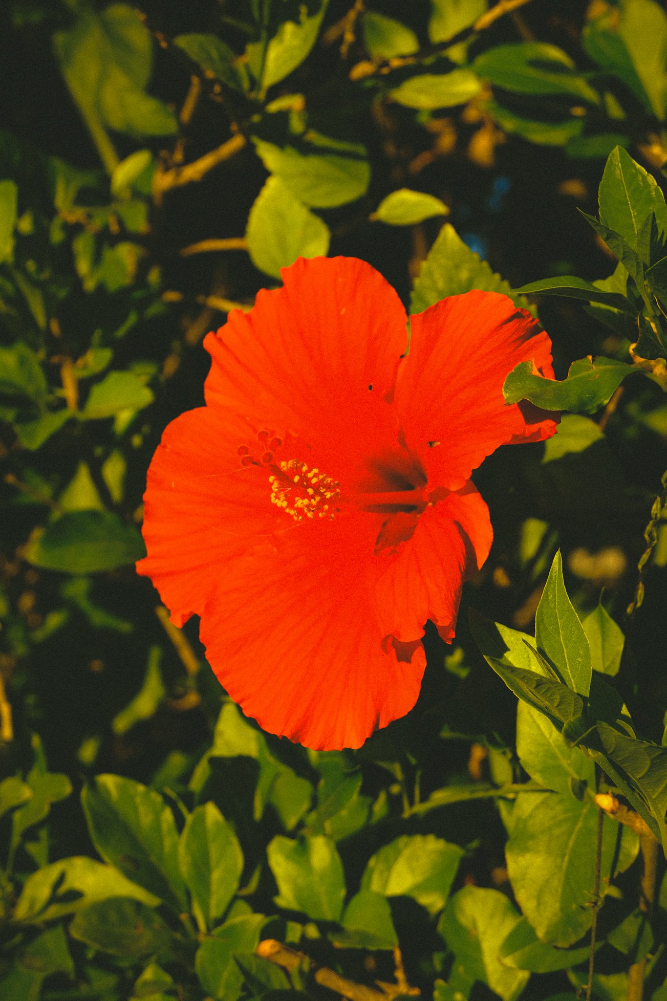 DSCF3220.JPG