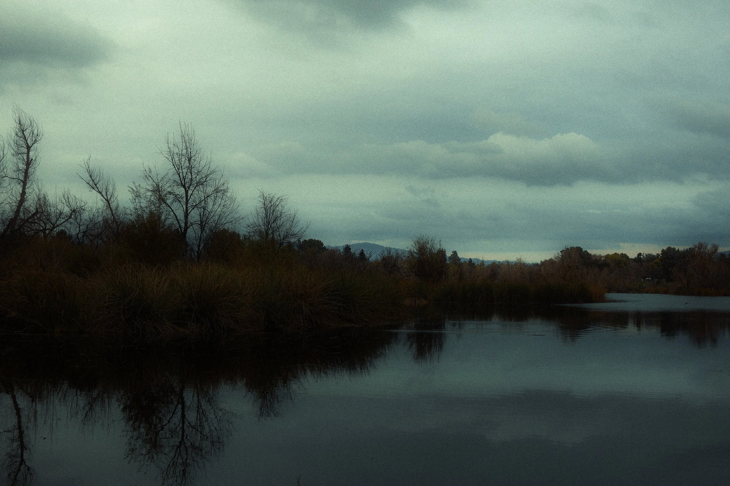 A river scene with dark water, leafless trees on the bank, and cloudy sky overhead.
