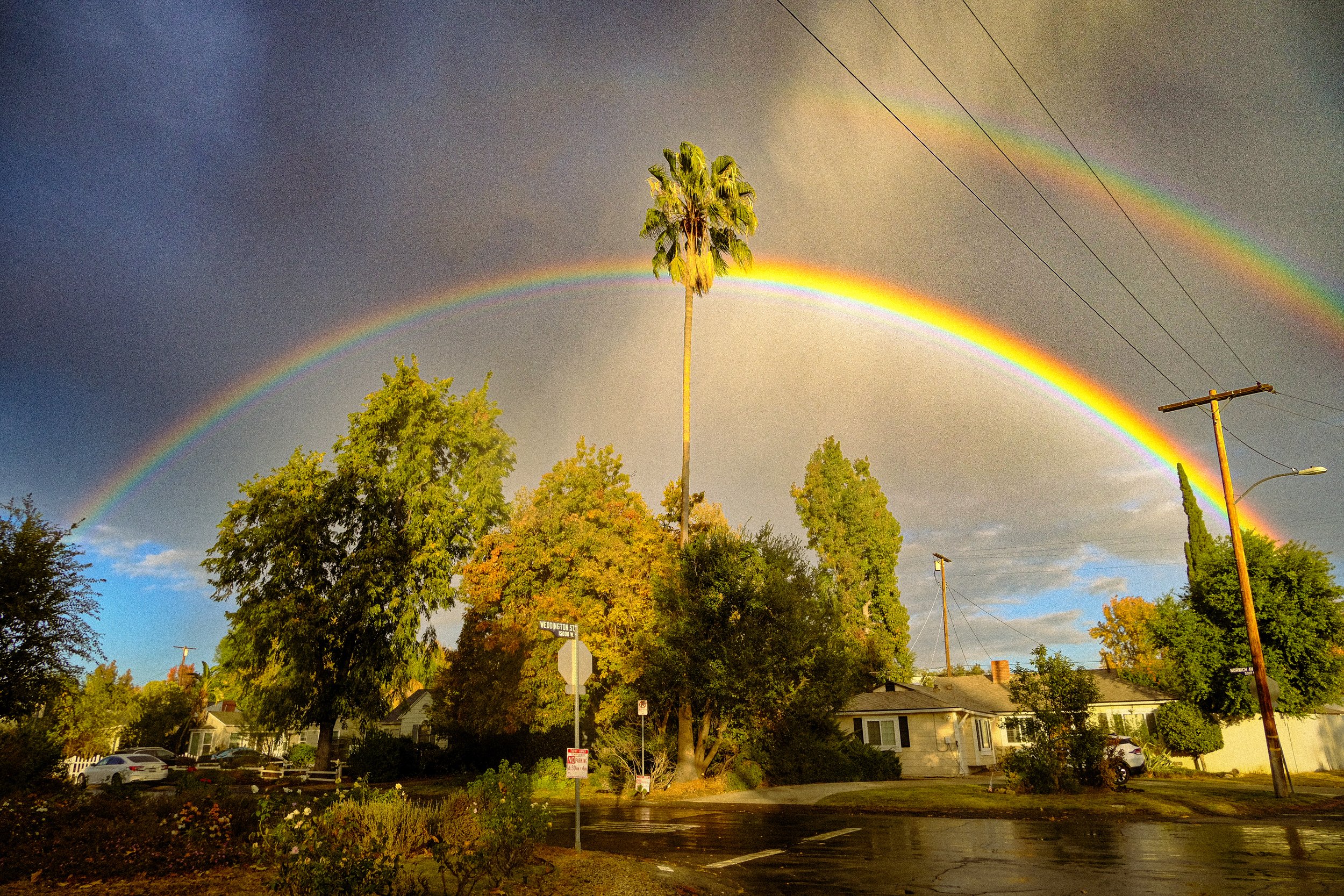 A street scene with a double rainbow arching over trees and houses, with utility poles and a cloudy sky.