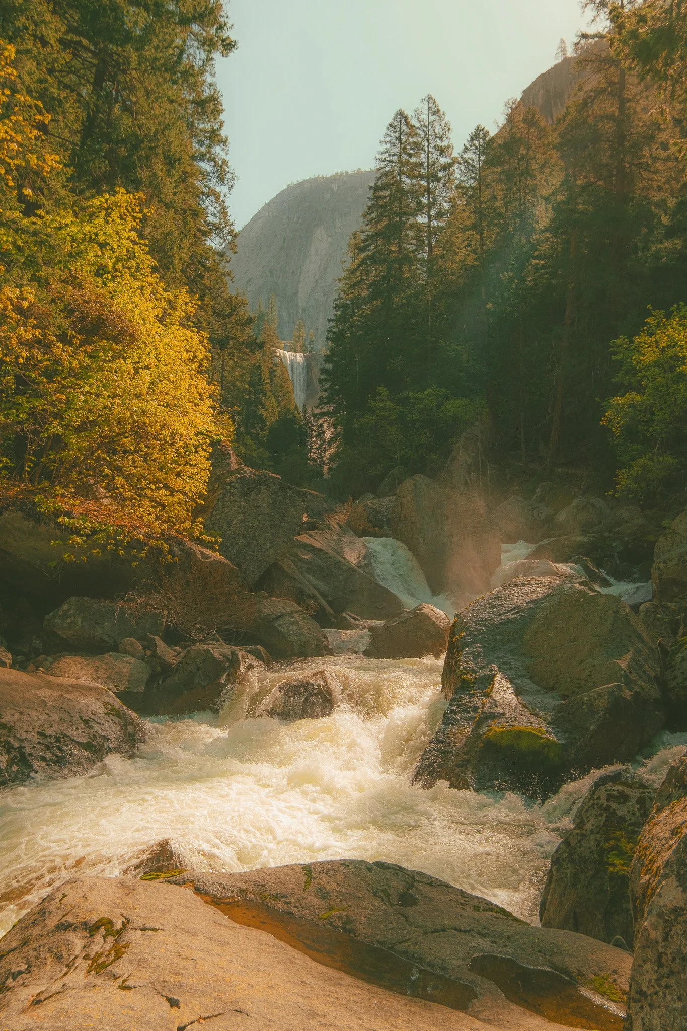 13E9340D-18D3-406F-9B1D-A7B892B01A34.JPEG