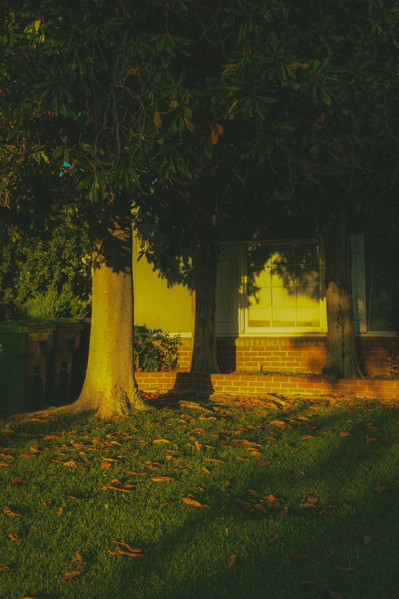 DSCF3236.JPG