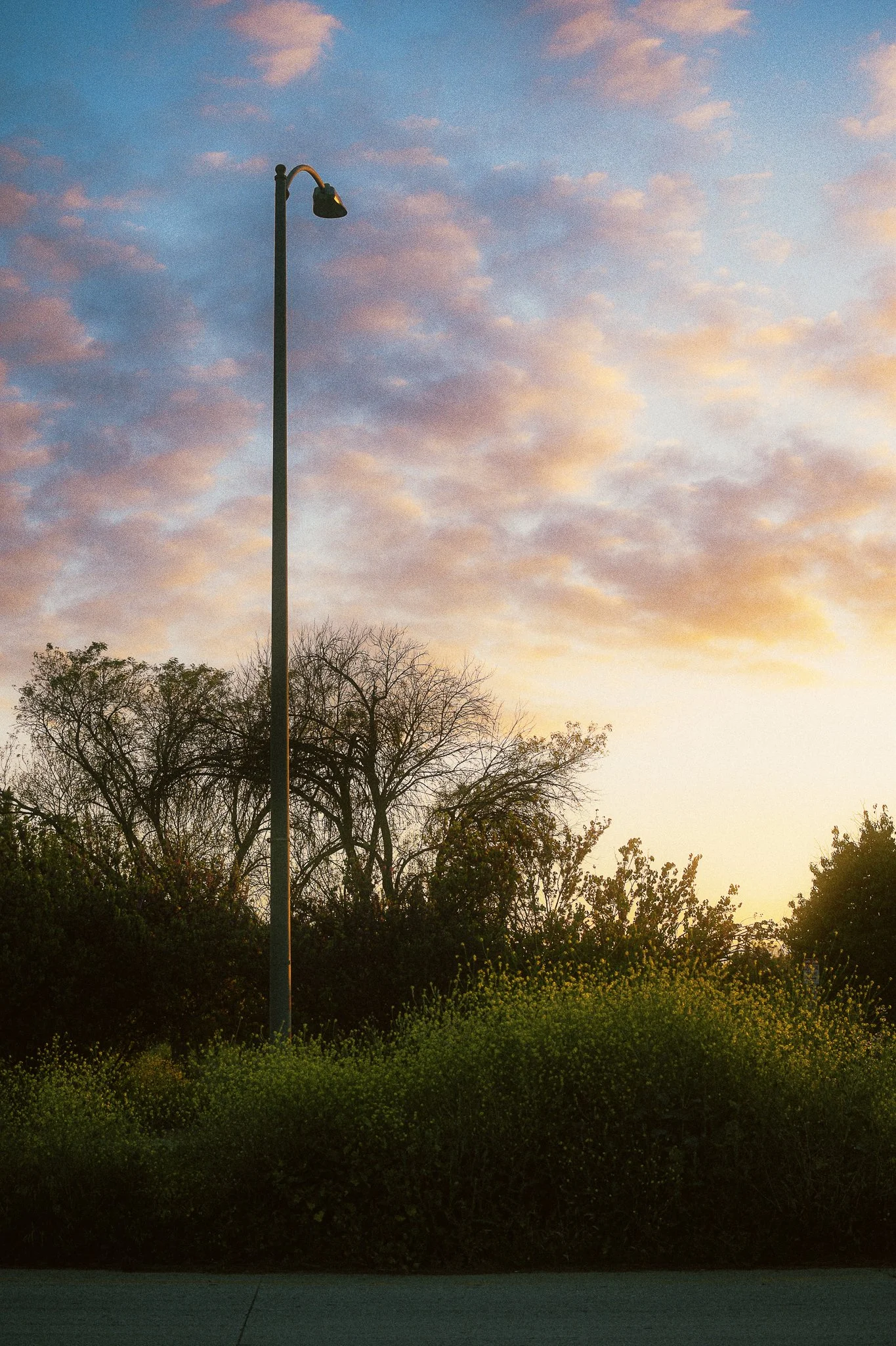A streetlamp standing among trees and bushes during sunset with a sky filled with clouds.