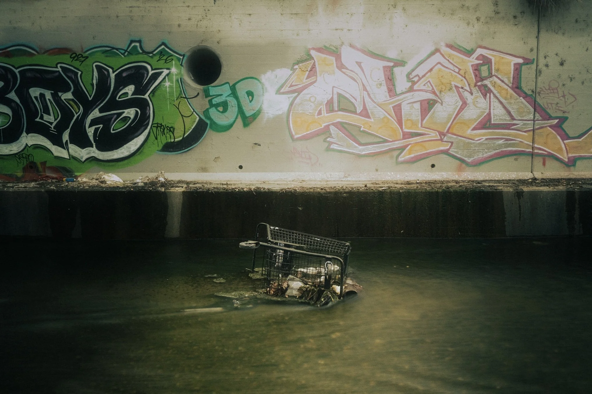 DSCF3125.jpg