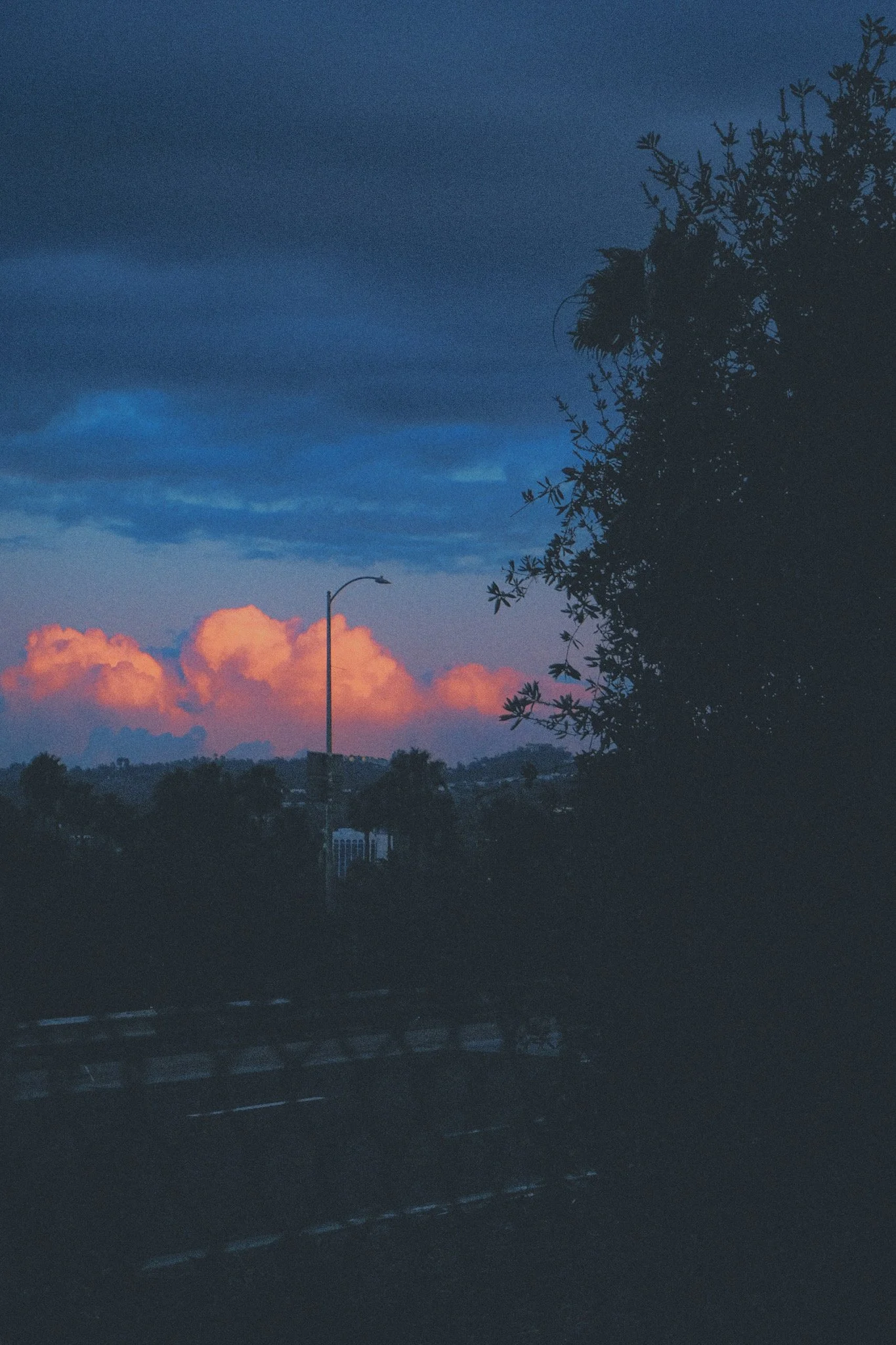 E346C440-434B-4E55-AD7C-32C92E85D2C0.JPEG