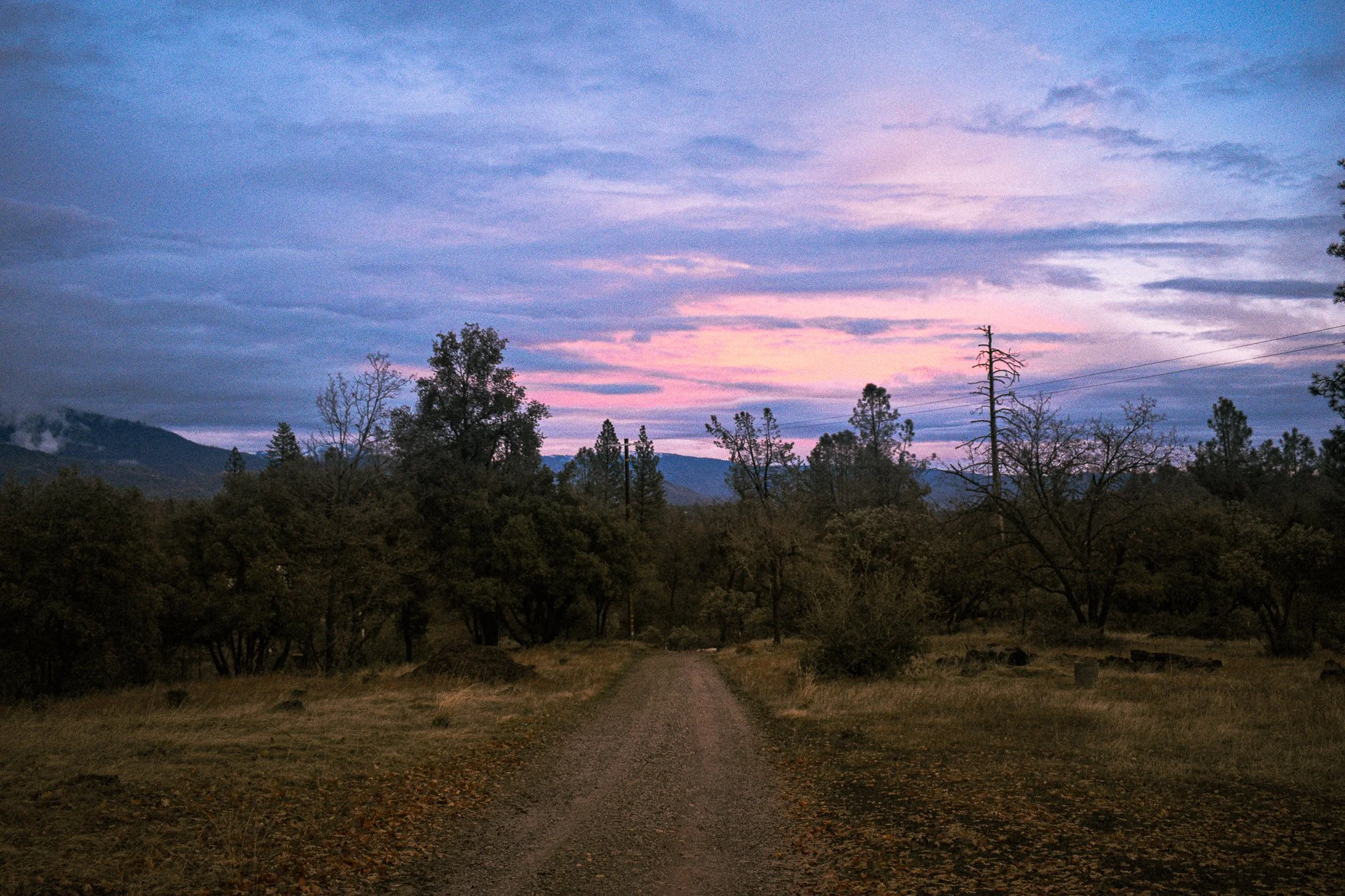 A dirt path leading through a wooded area at dusk with a colorful sky in the background.