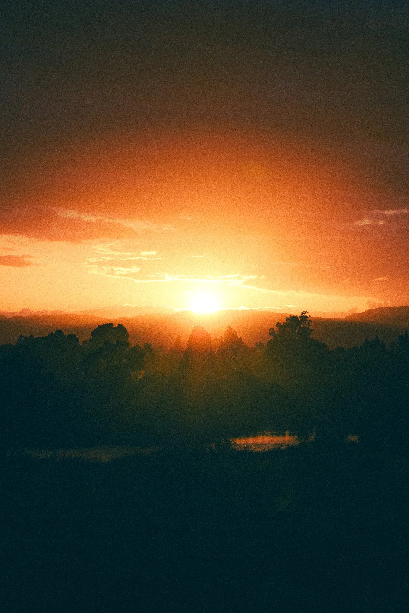 COL_8777.JPG