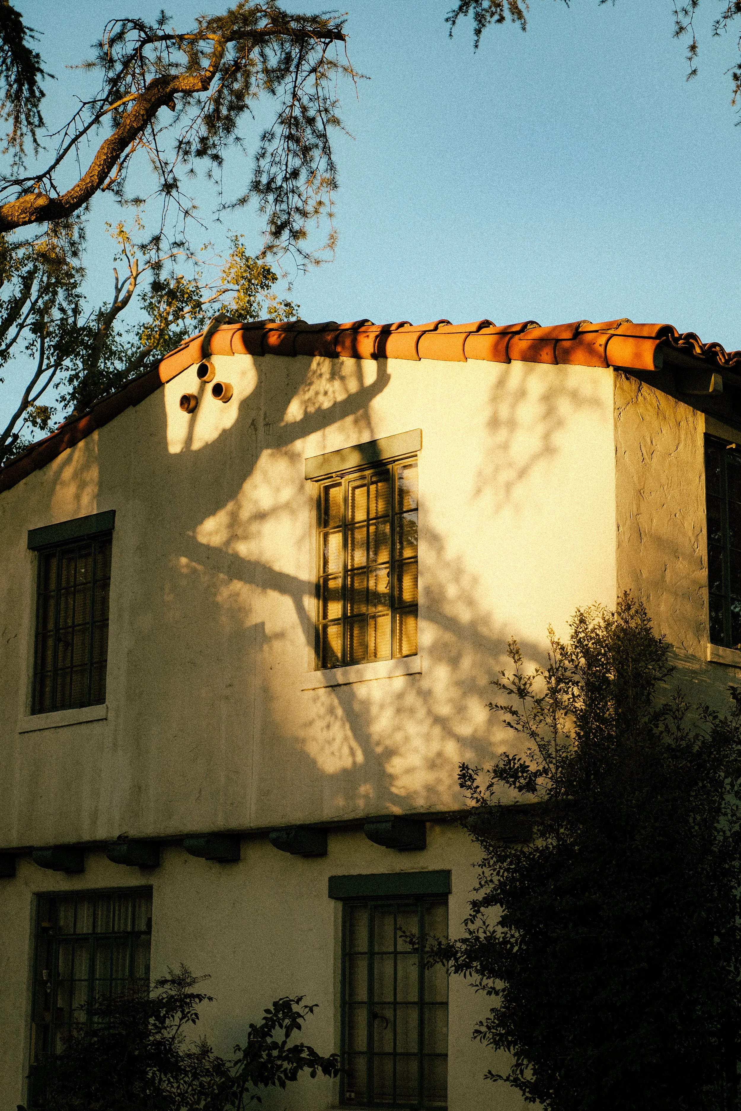 Sunlight casts shadows of trees onto the white stucco exterior of a building with red-tile roof, multiple windows, and green trim, during sunset.