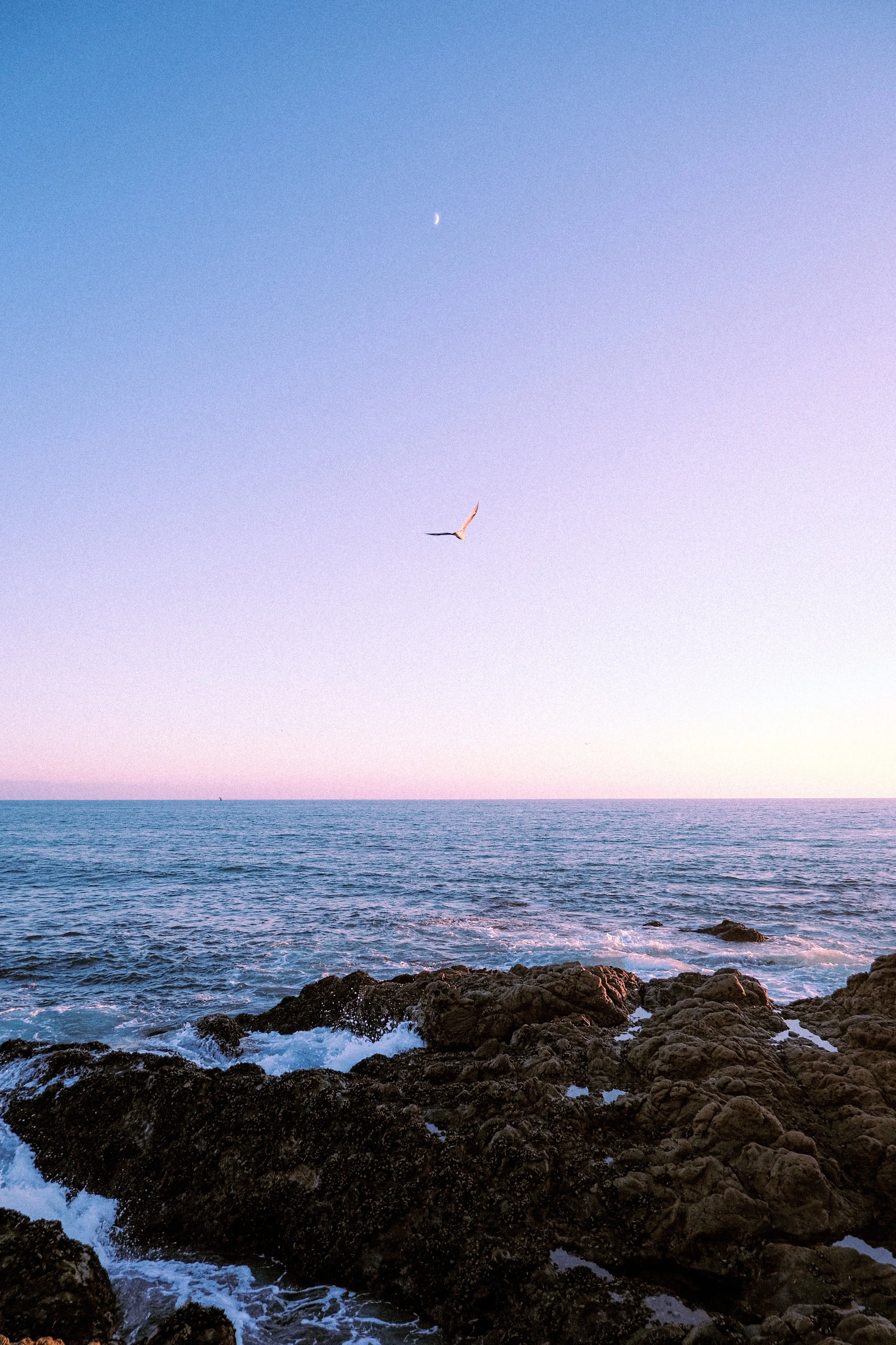 A seascape with rocks in the foreground, ocean waves, a bird flying in the sky, and a crescent moon overhead during sunset or sunrise.