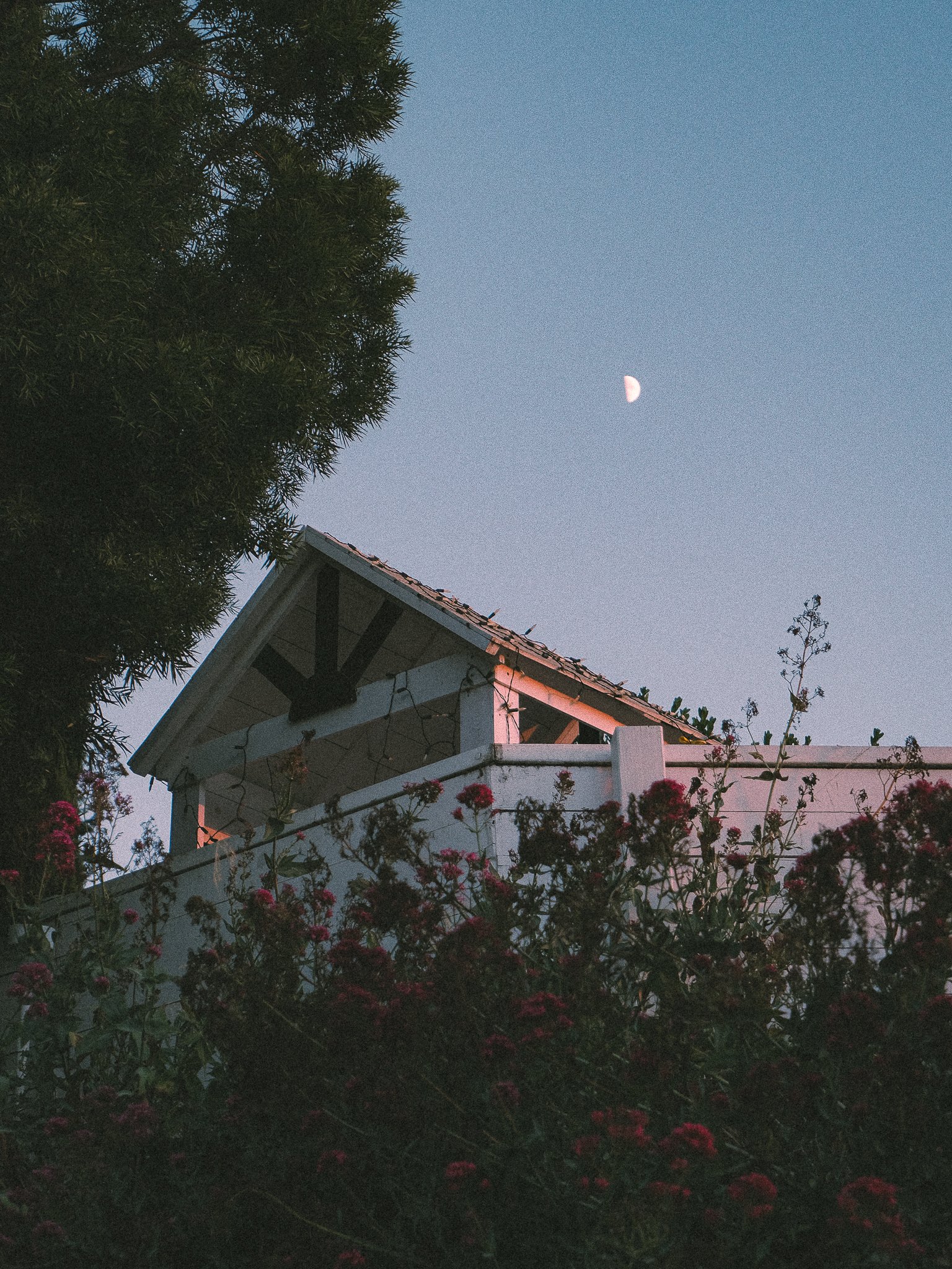 A house with a peaked roof and a porch, surrounded by bushes and flowers, with the moon visible in the evening sky above.