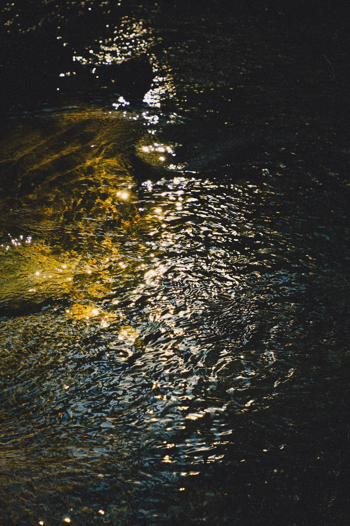 63D0644A-48C9-451E-8B30-3A0790A5A39A.JPEG