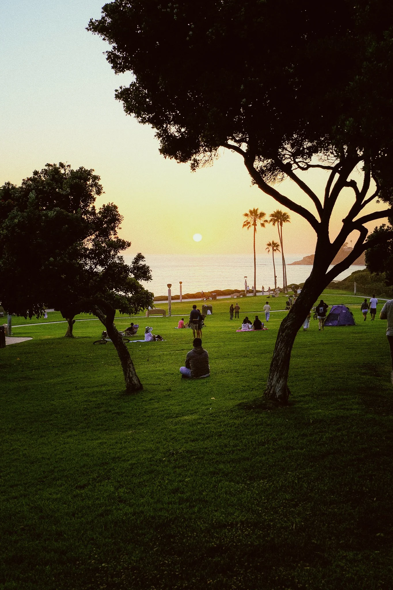 People relaxing on a grassy park near the ocean at sunset, with trees, palm trees, and a tent in the background.