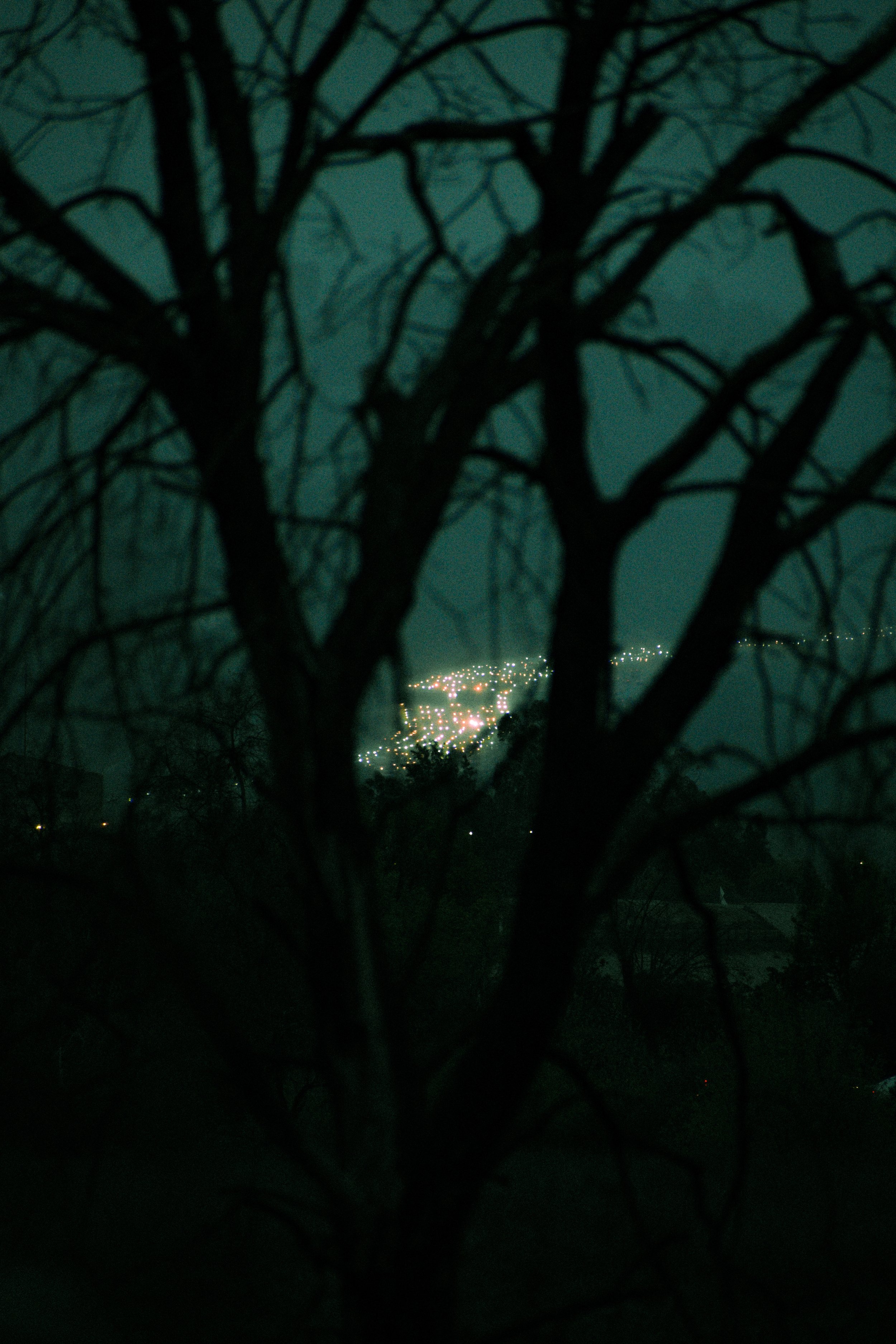 A dark, nighttime scene of a leafless tree in the foreground, with a distant town illuminated by many lights in the background.
