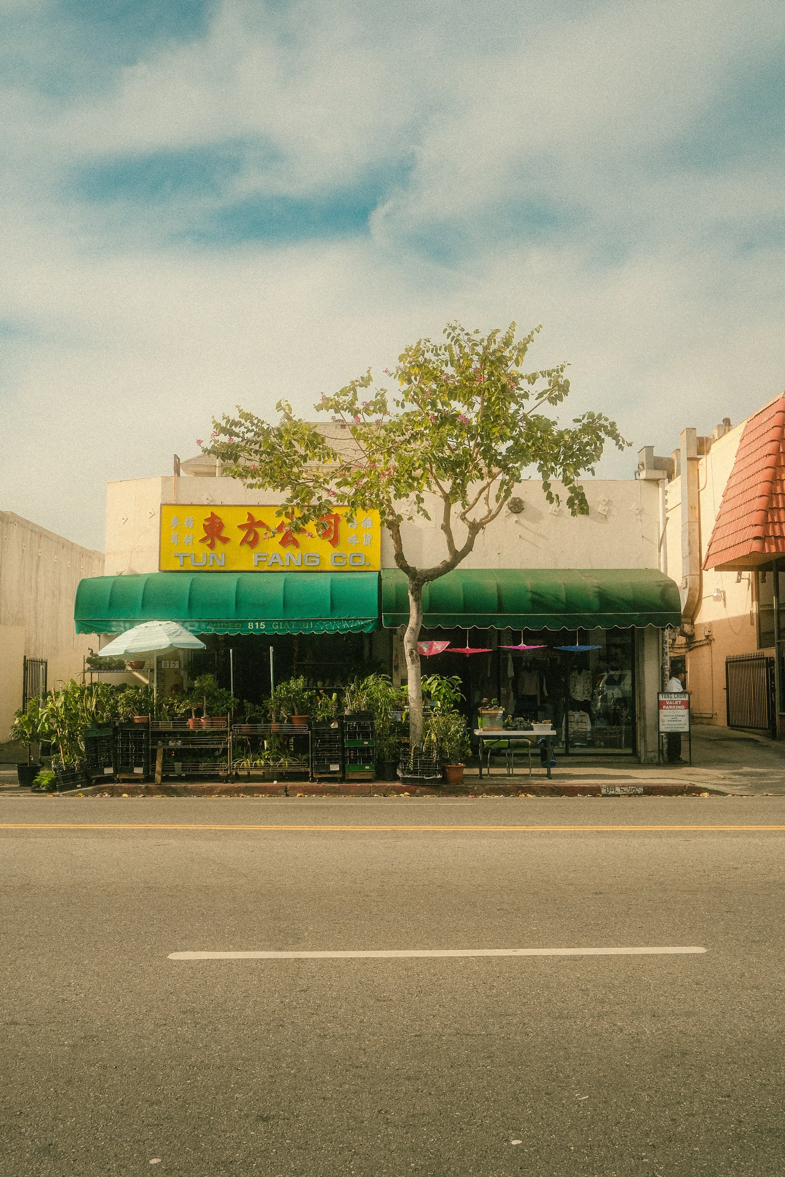 Storefront with a yellow sign displaying Chinese characters and the words 'TUN FANG CO.' in red and green awning, potted plants, a tree in front, and an umbrella with plants outside.