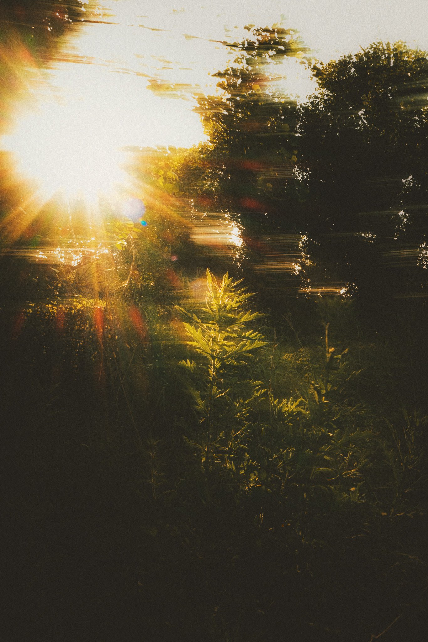 DDCDEC70-A5DD-4504-B9B8-1316EB154603.JPEG