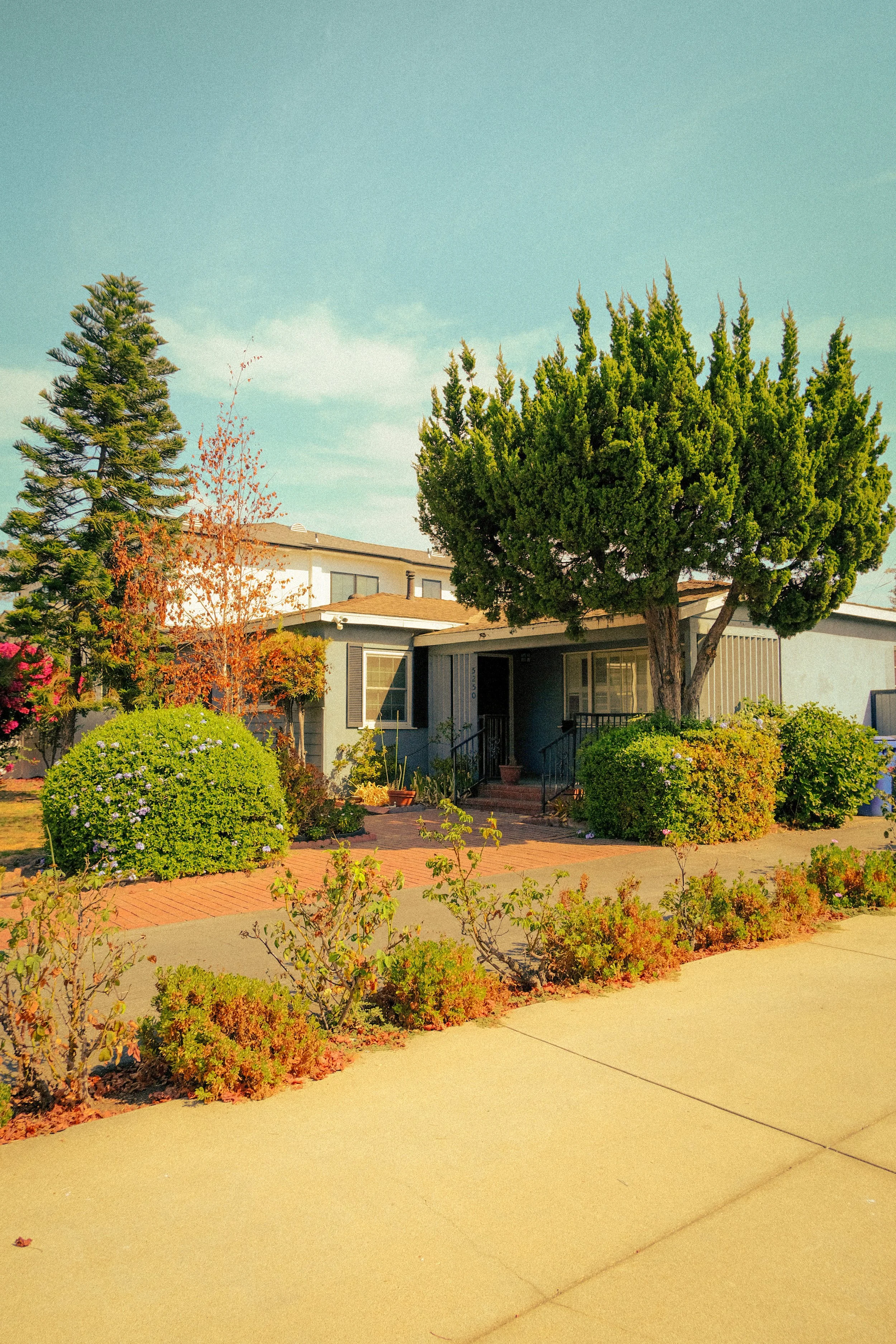 A house with a front porch surrounded by bushes and trees, with a clear sky overhead.