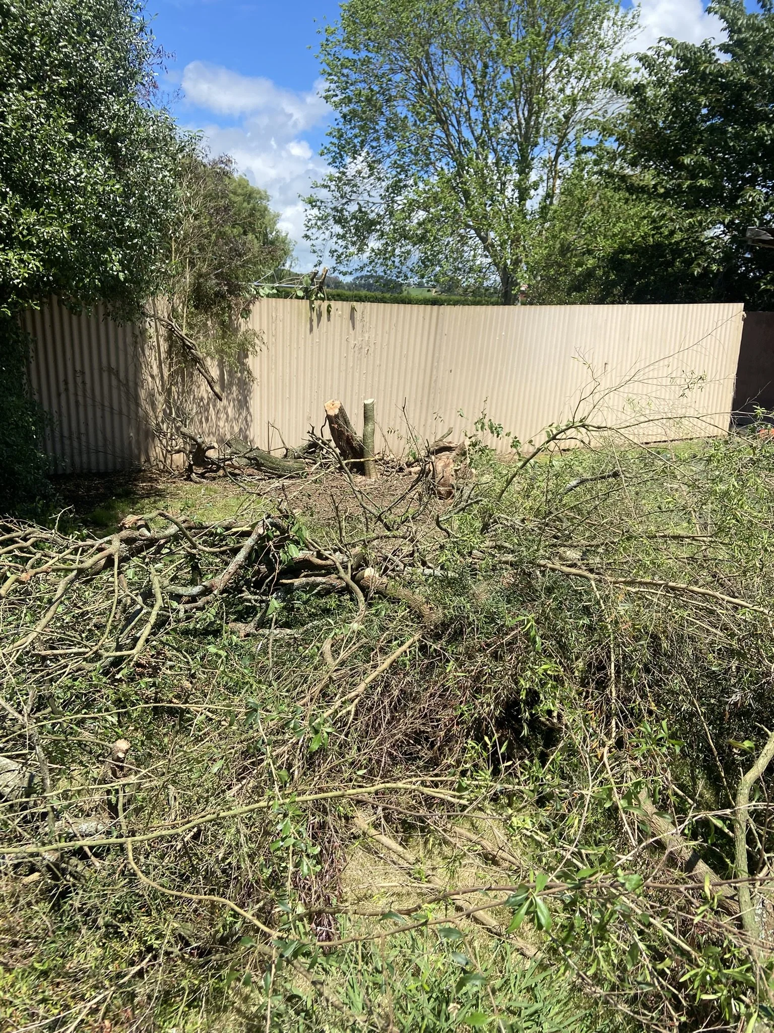 A backyard area with fallen tree branches and a cut tree trunk, enclosed by a beige metal fence and surrounded by green trees and bushes, under a partly cloudy sky.