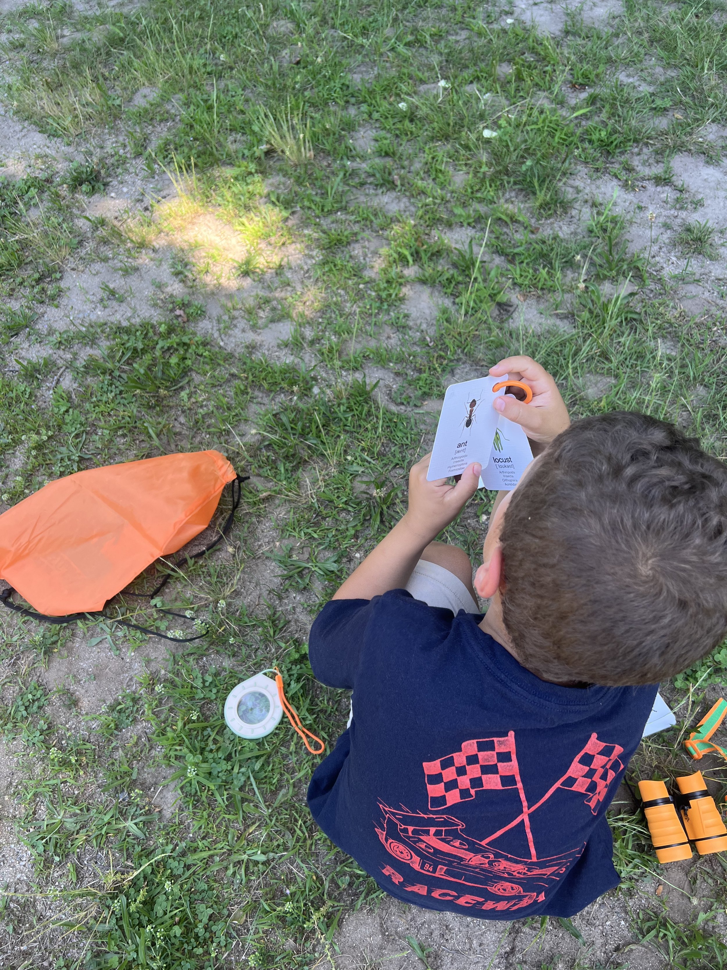 looking for bugs.jpg