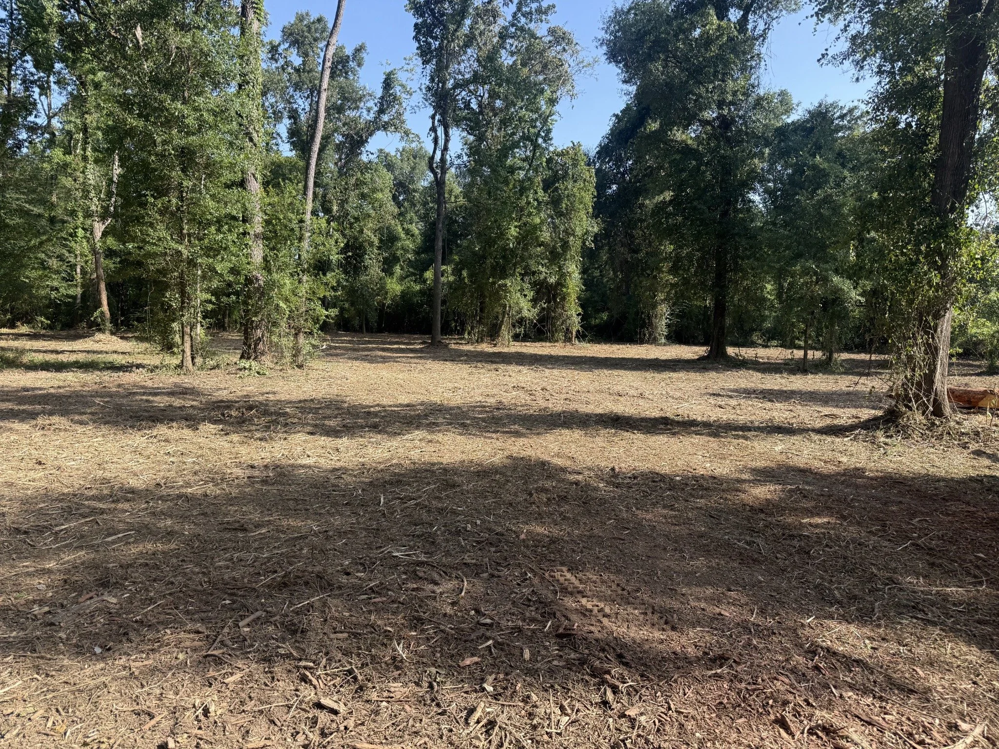 Forestry mulching and land clearing project on the Louisiana Northshore