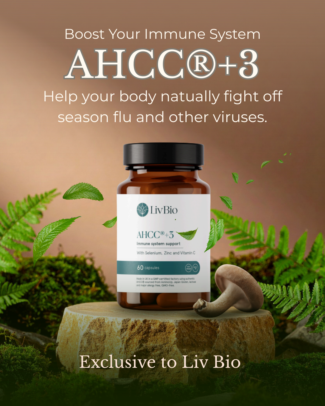 AHCC+3 natural (1).png