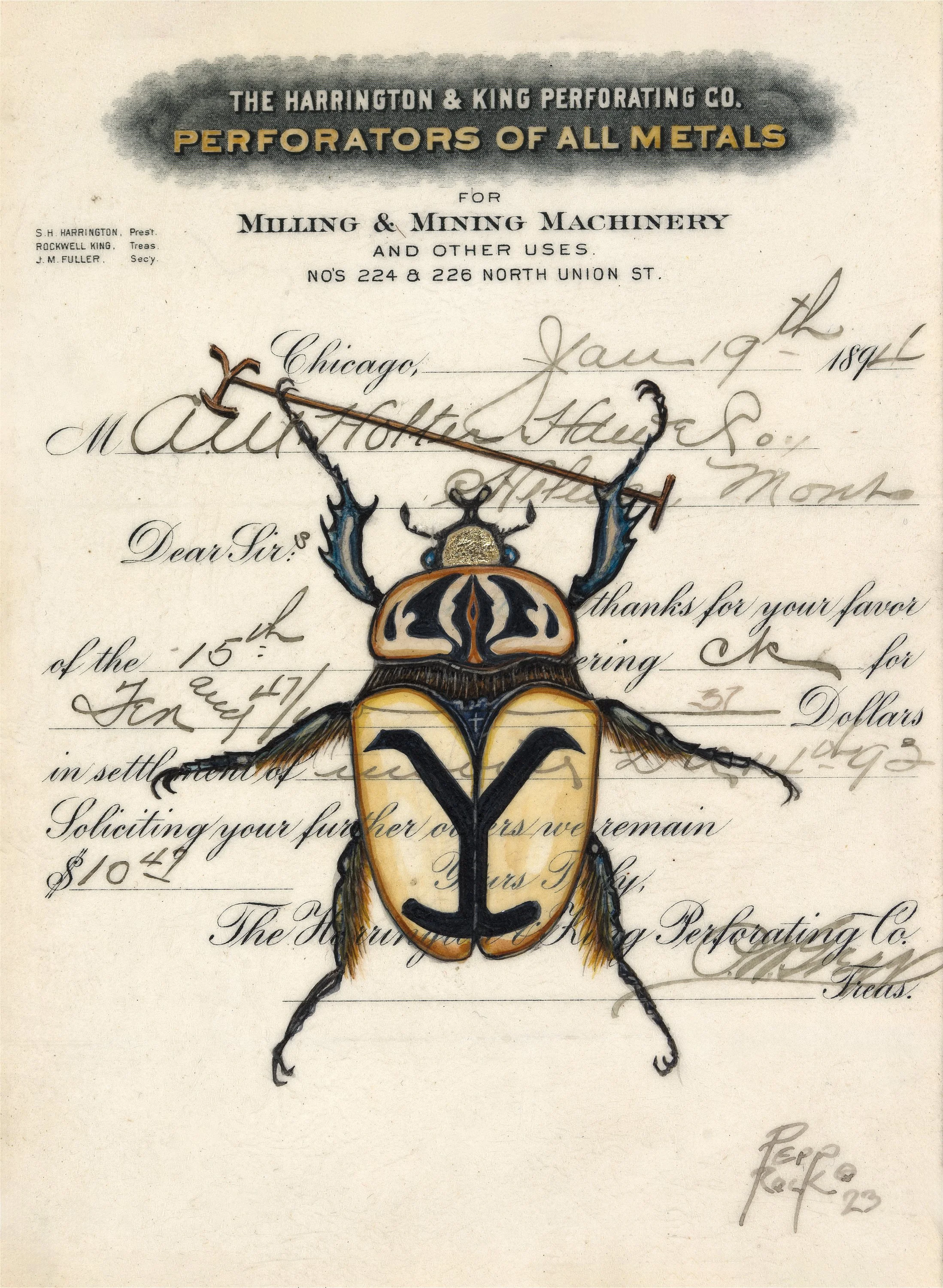 PFA_Yellowstone Beetle1.jpg