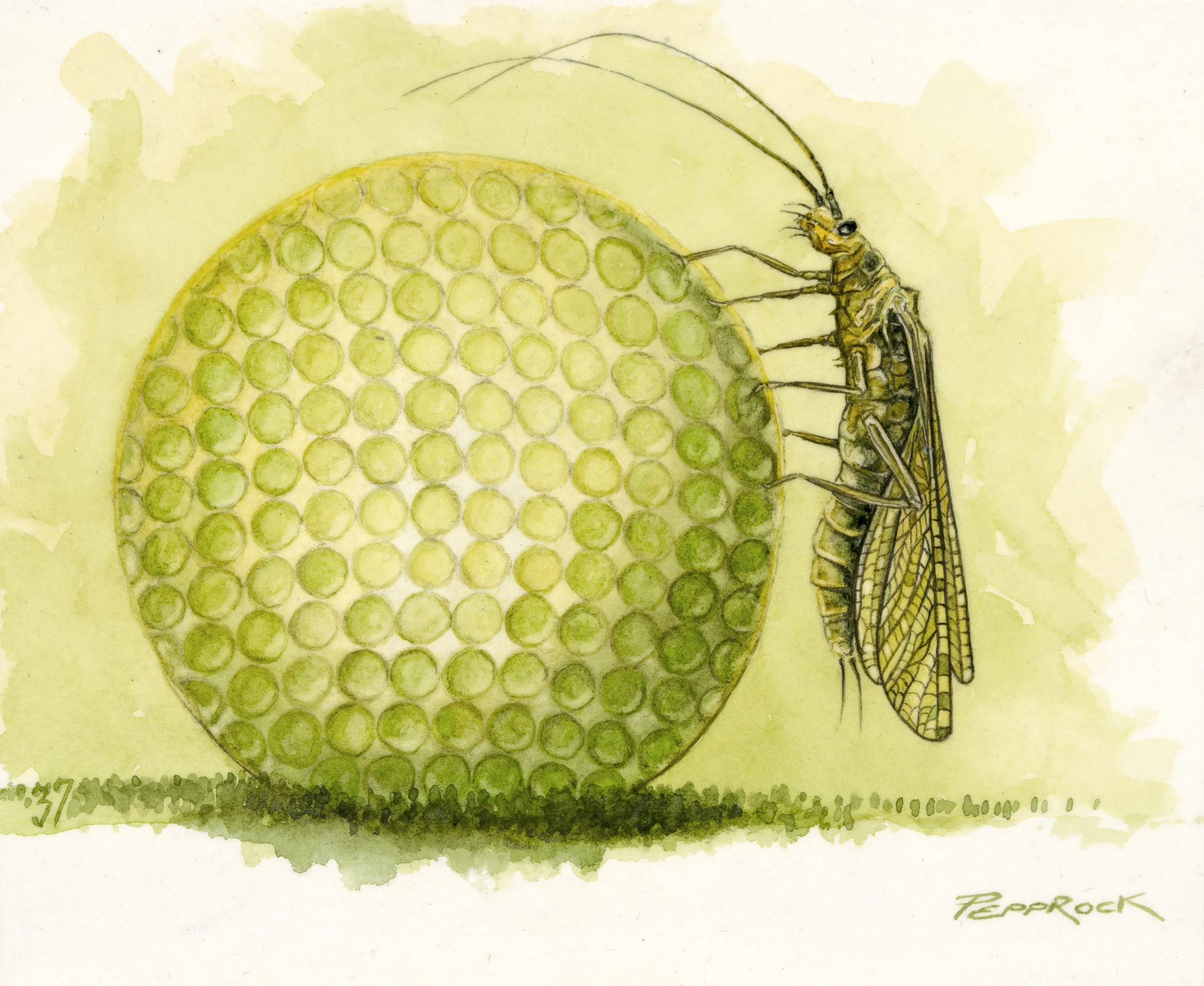 "CHOICES" (Original)